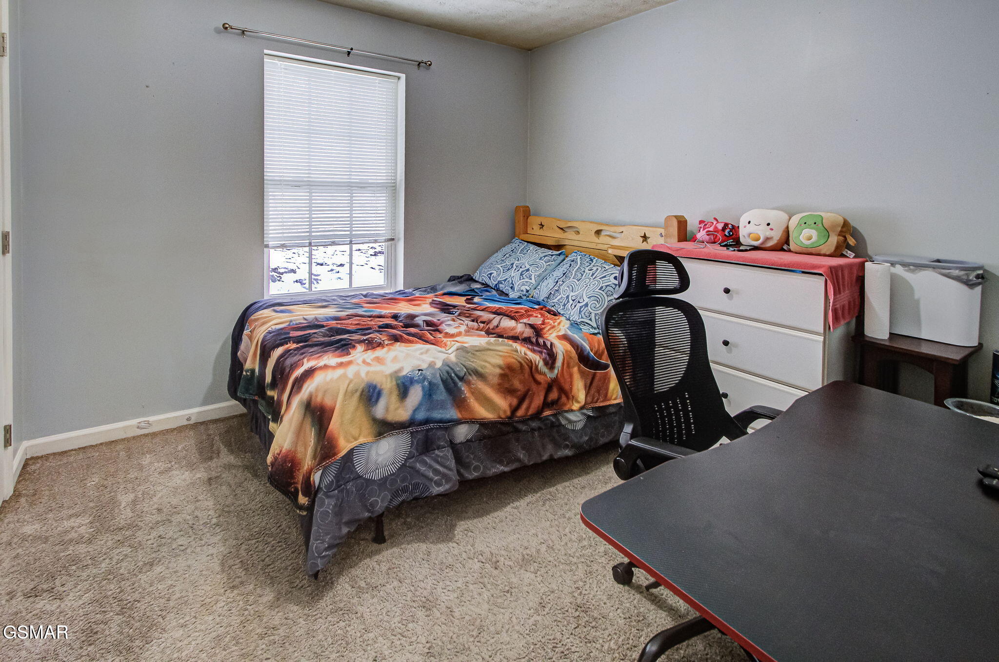 1024 Rosella Drive White Pine TN 37890