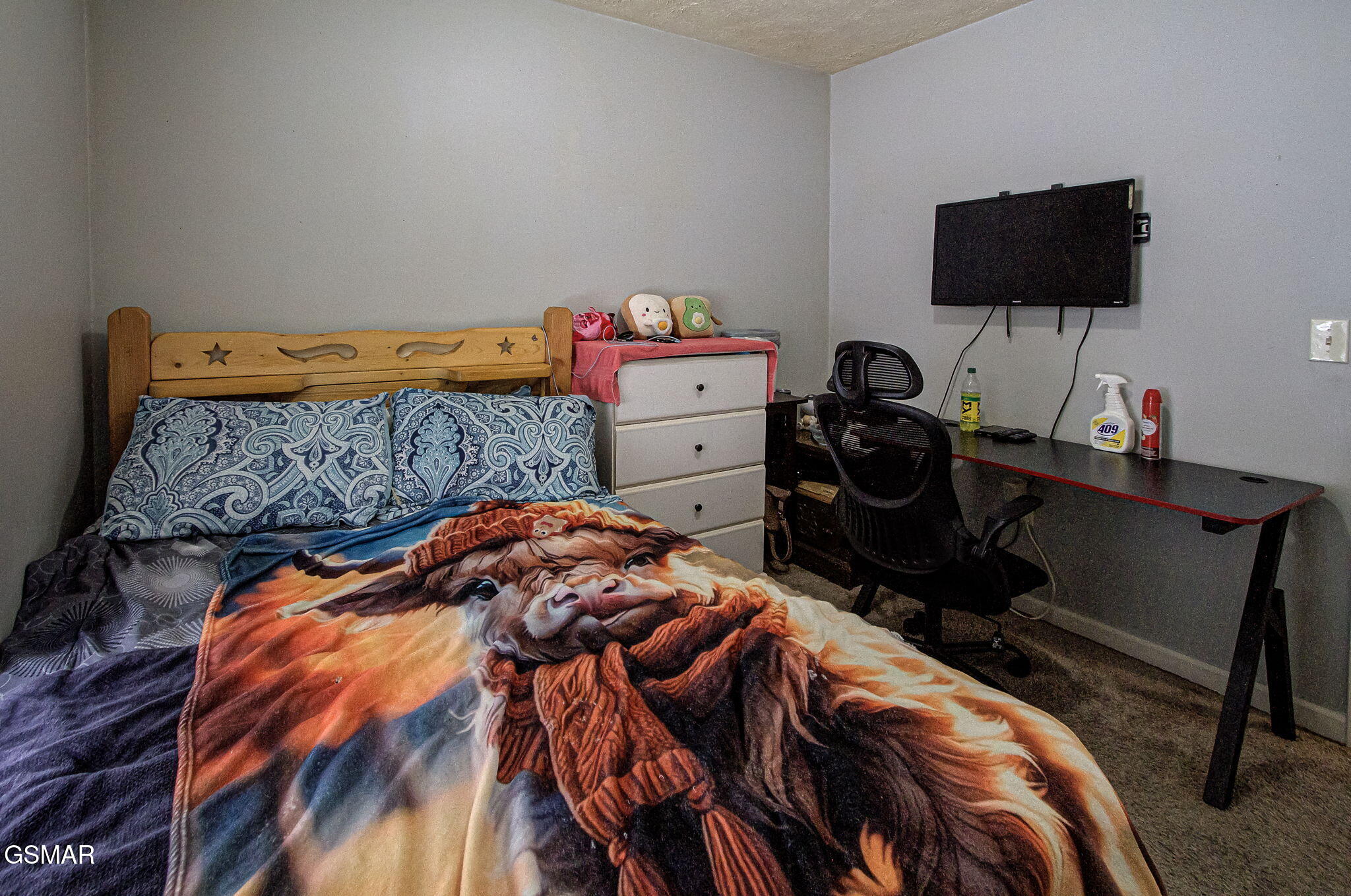 1024 Rosella Drive White Pine TN 37890