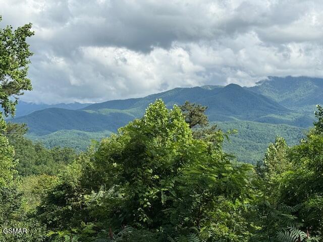 933 E Foothills Drive Gatlinburg TN 37738