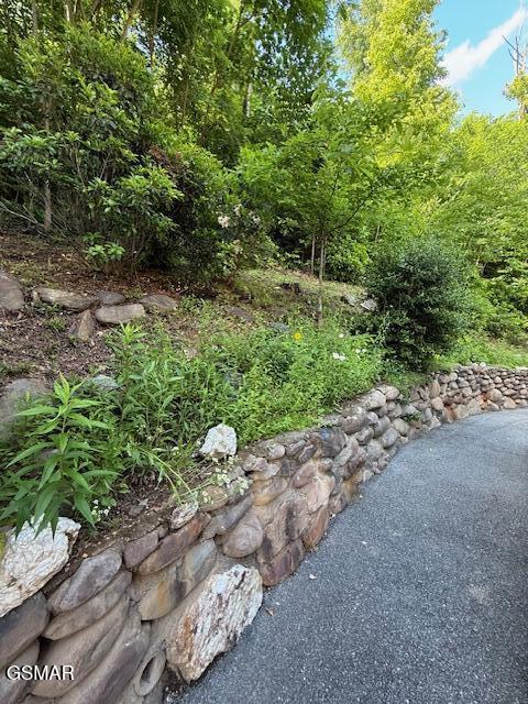 933 E Foothills Drive Gatlinburg TN 37738