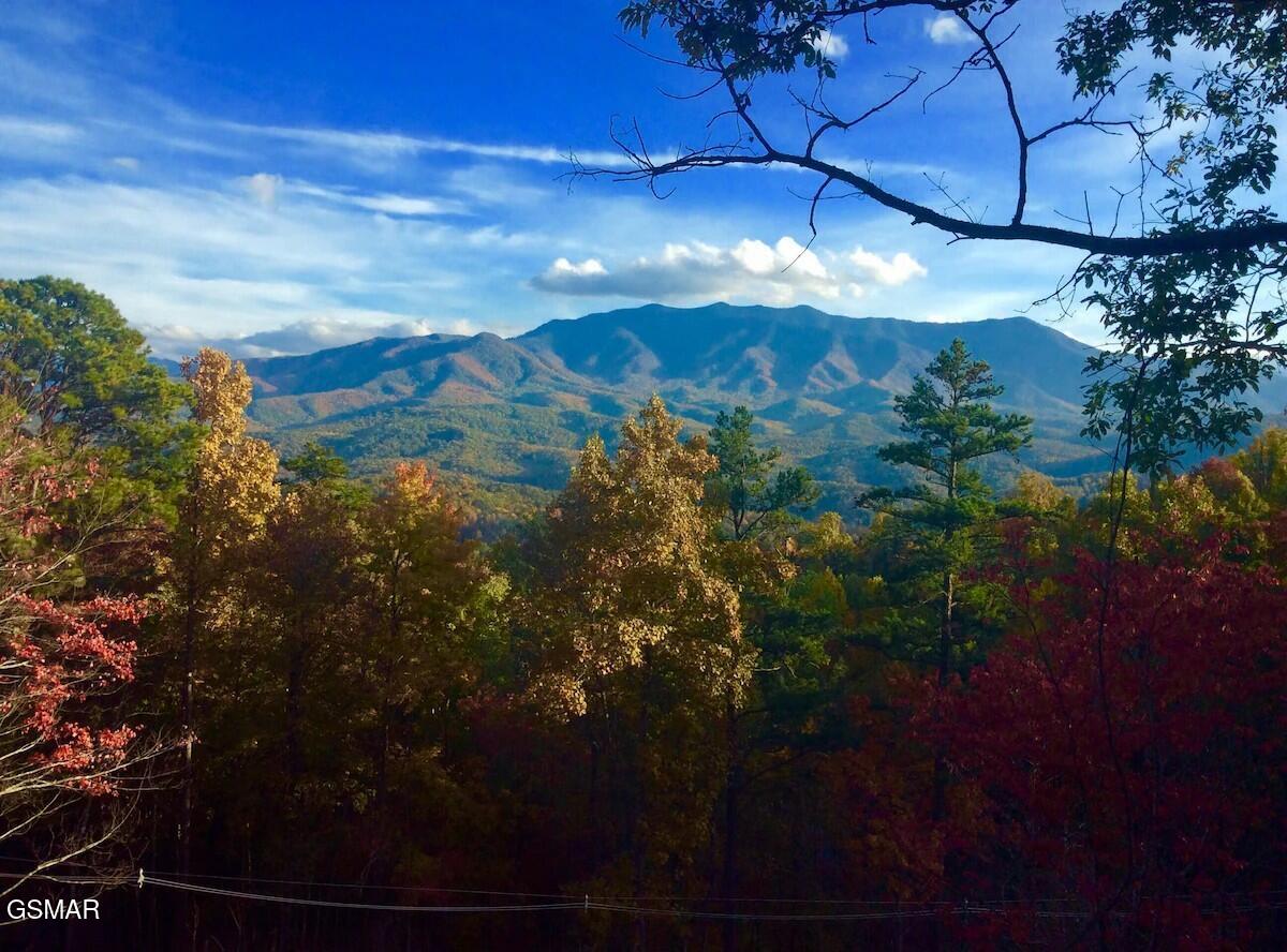 933 E Foothills Drive Gatlinburg TN 37738