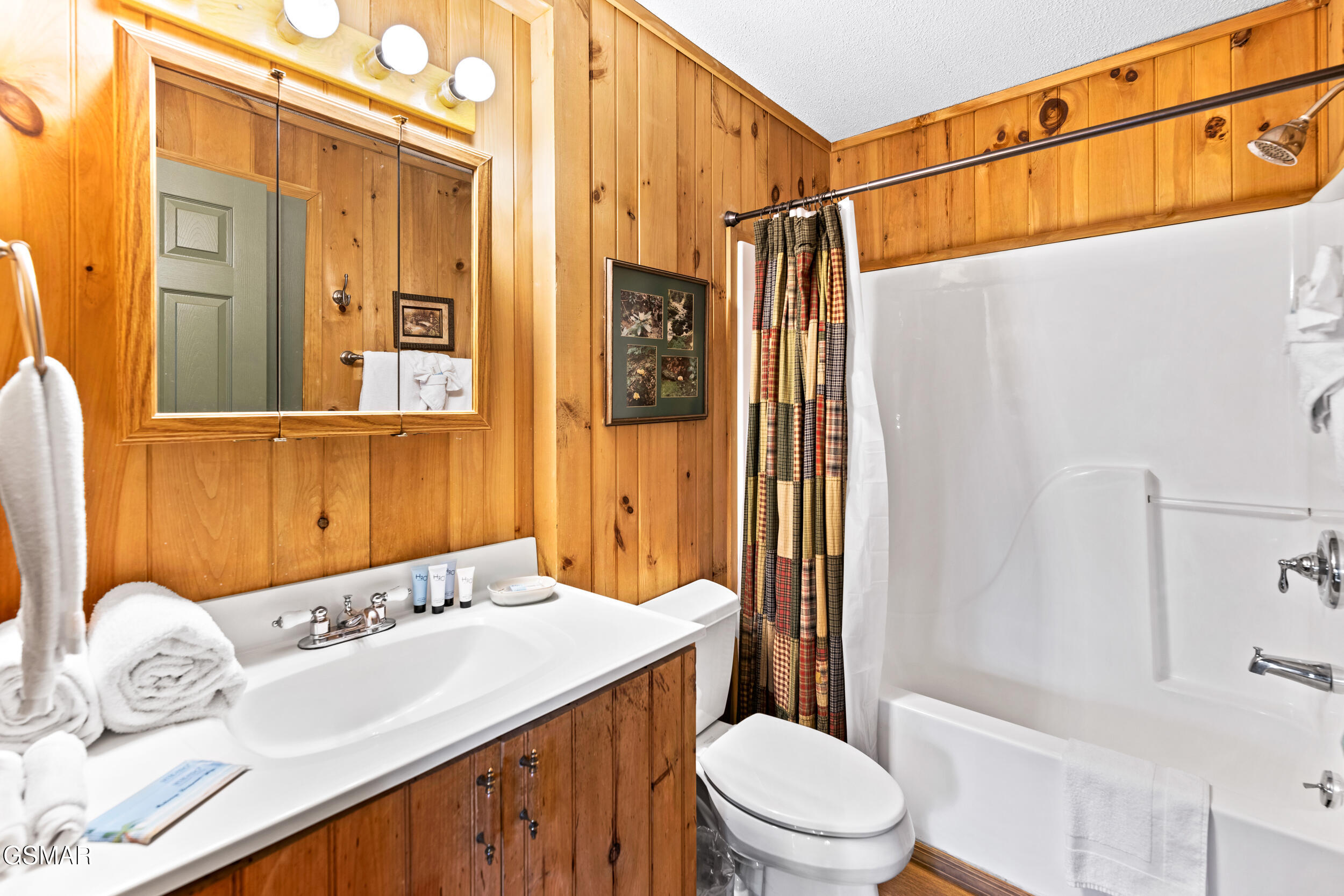 209 Teaberry Lane Gatlinburg TN 37738