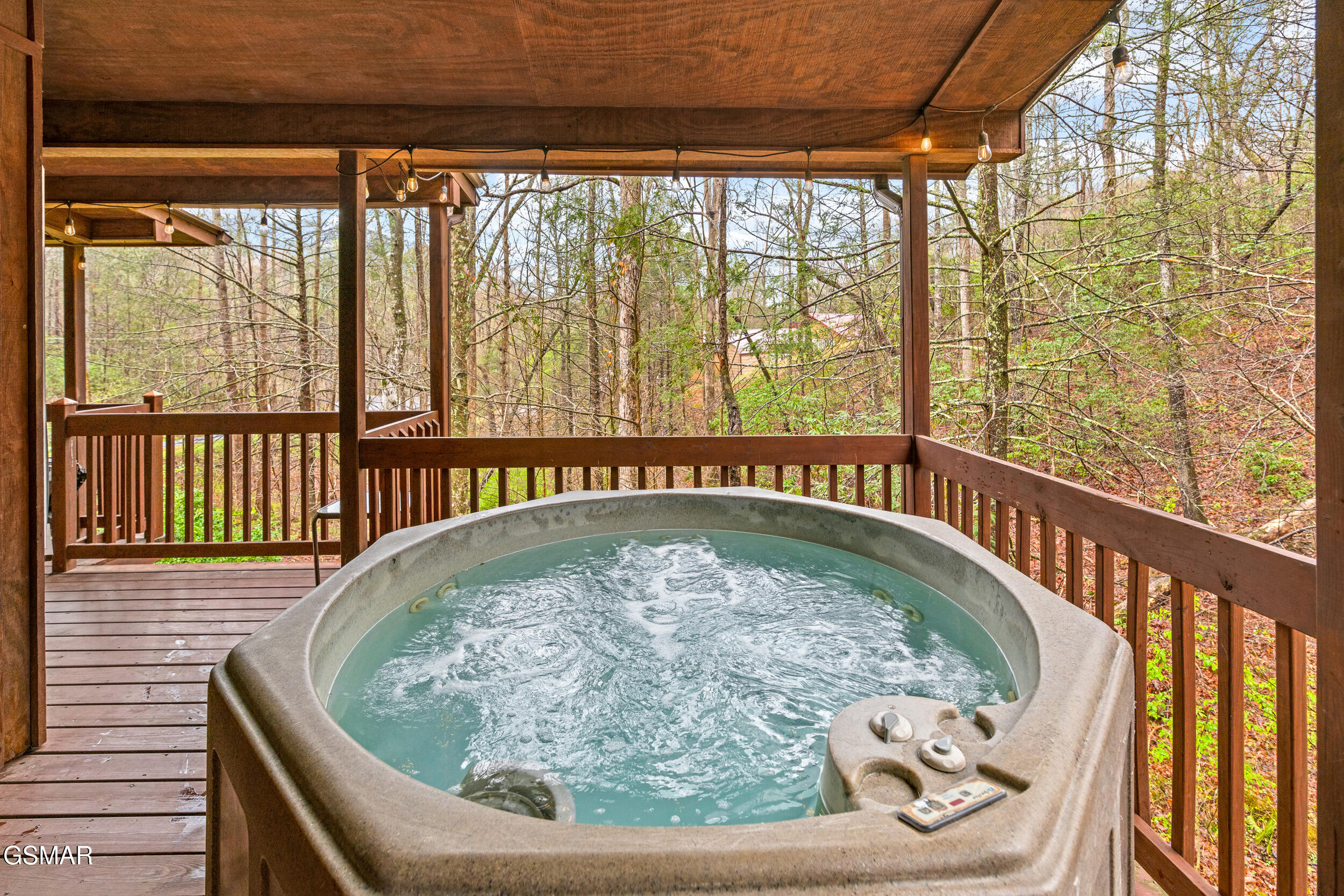 209 Teaberry Lane Gatlinburg TN 37738