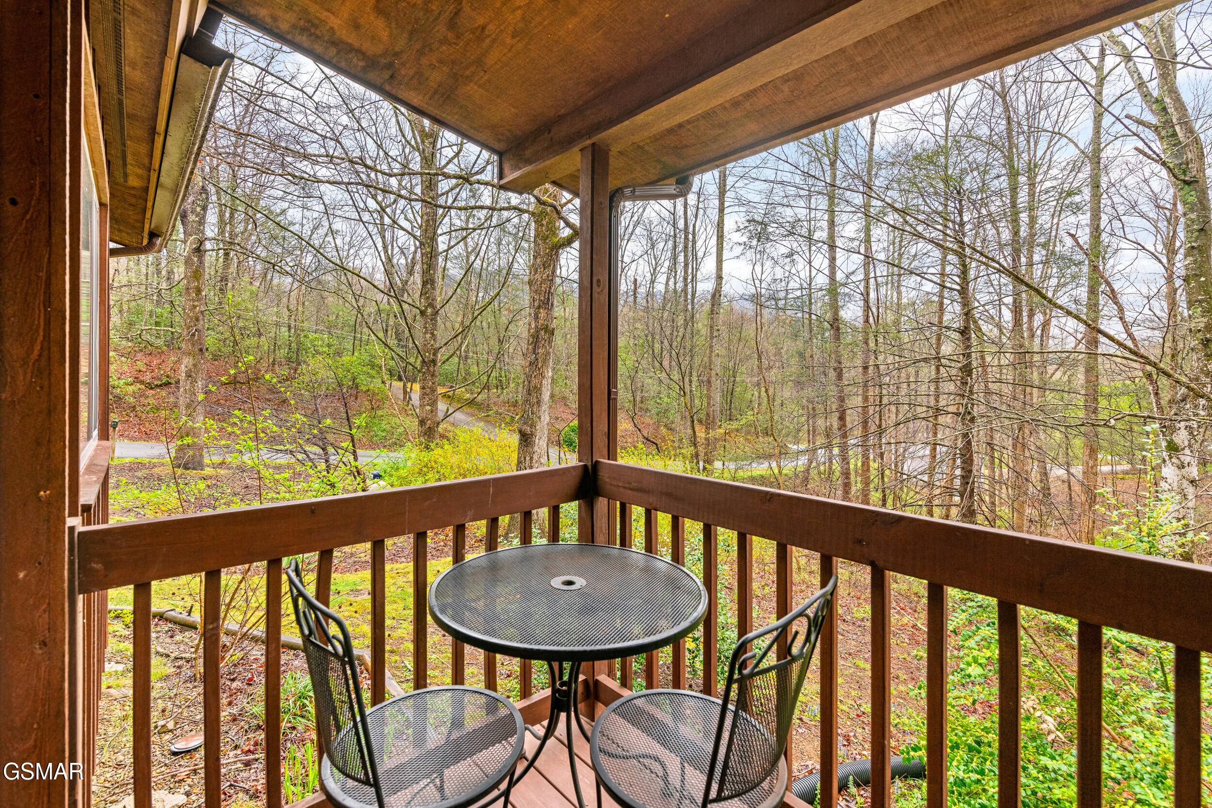 209 Teaberry Lane Gatlinburg TN 37738