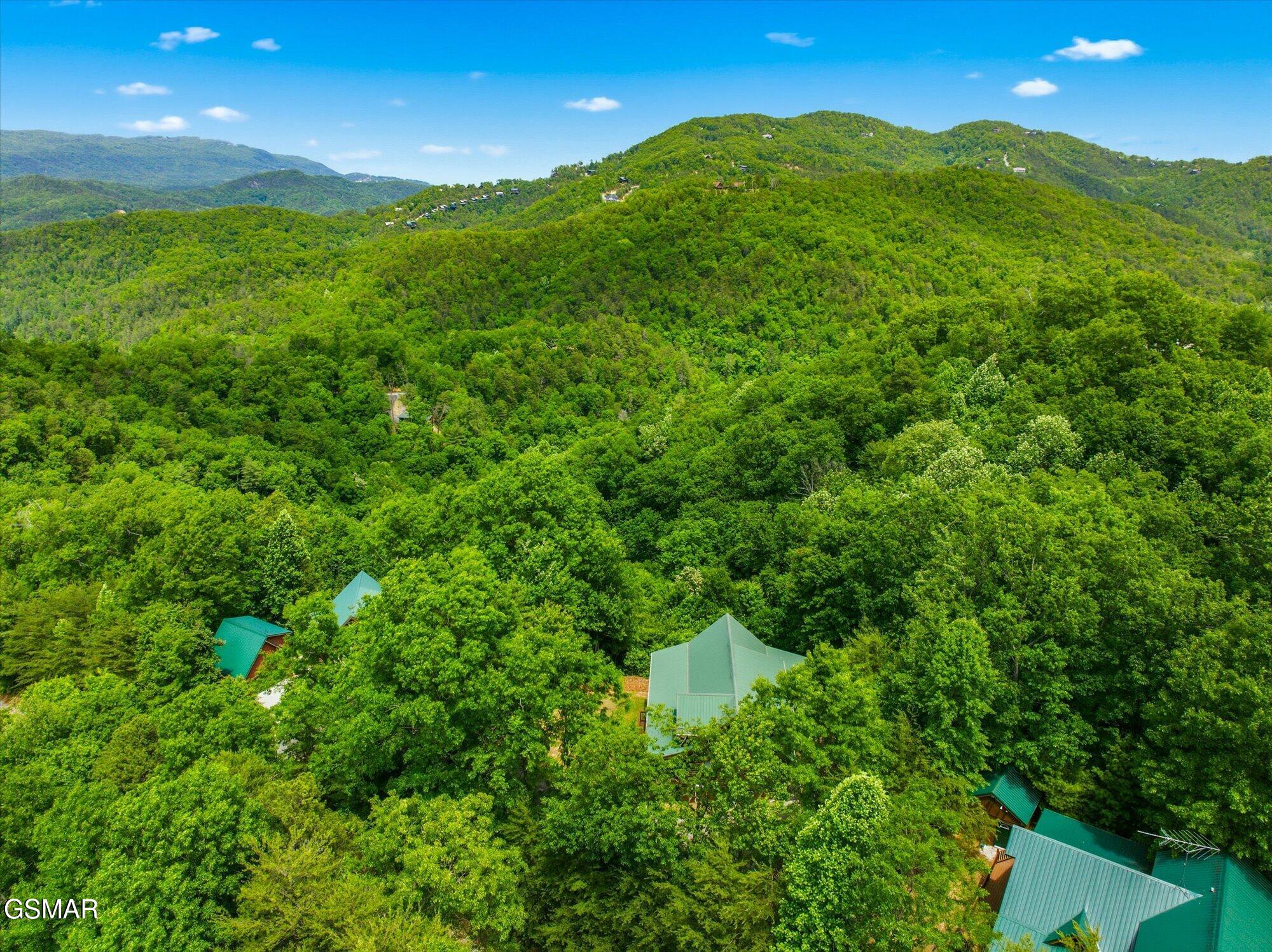 4524 Whetstone Road Sevierville TN 37862