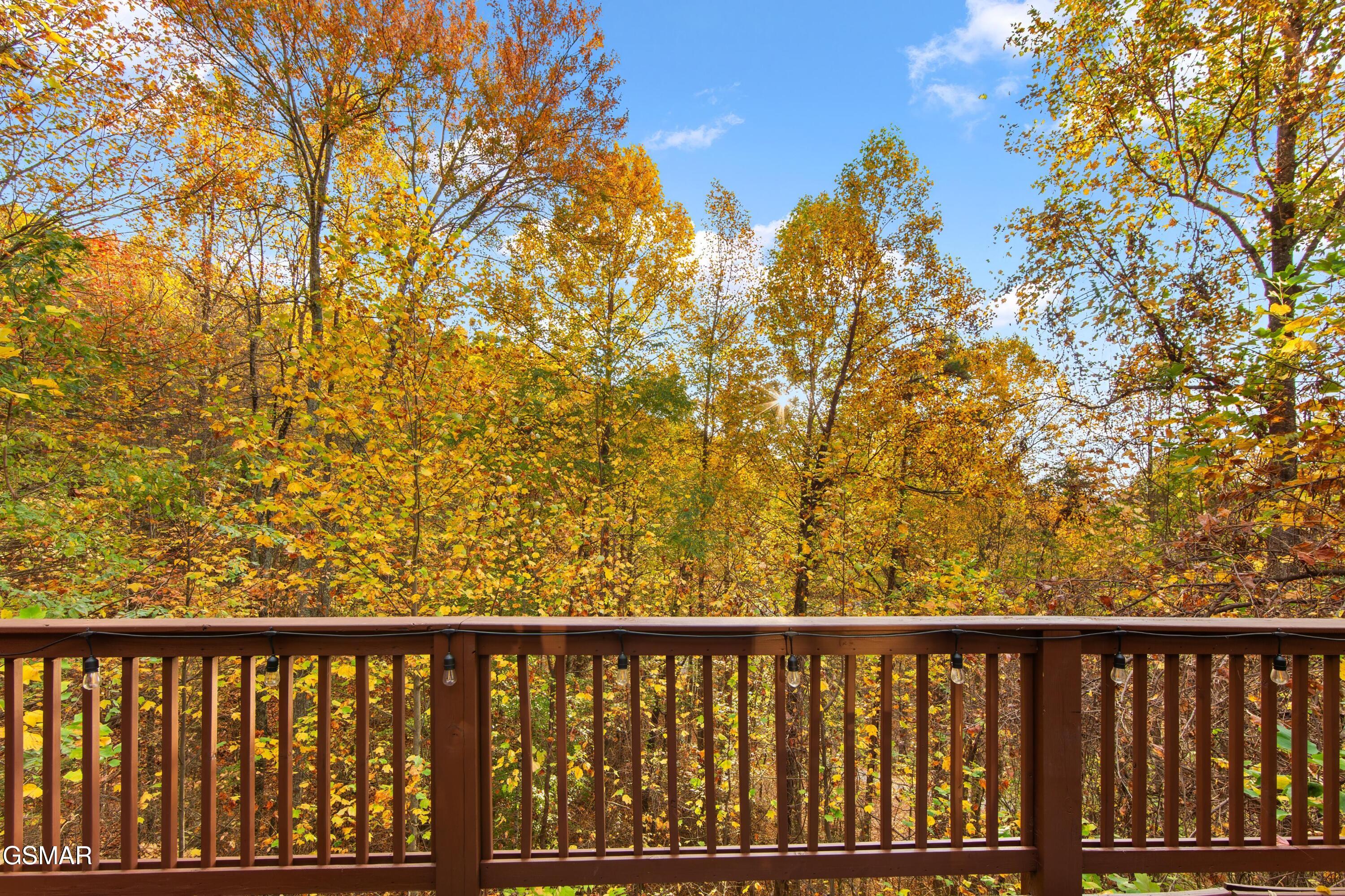 1825 Cherry View Lane Sevierville TN 37876