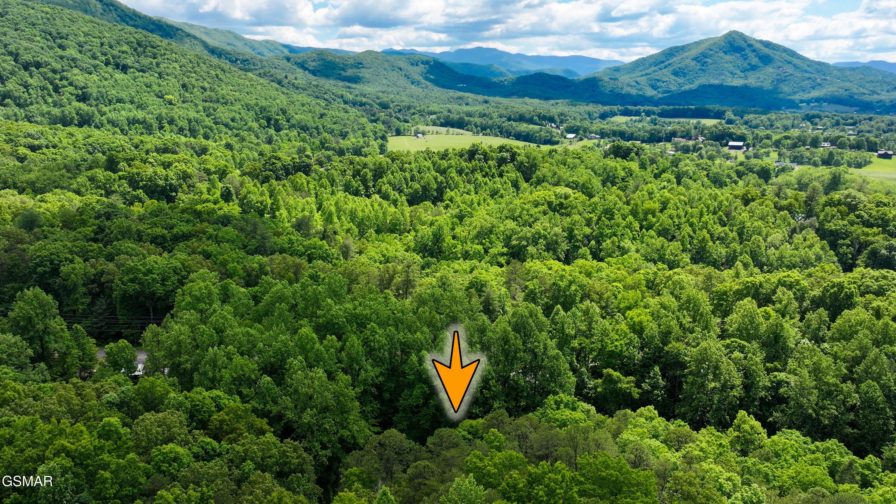 3435 Walker Lane Sevierville TN 37862
