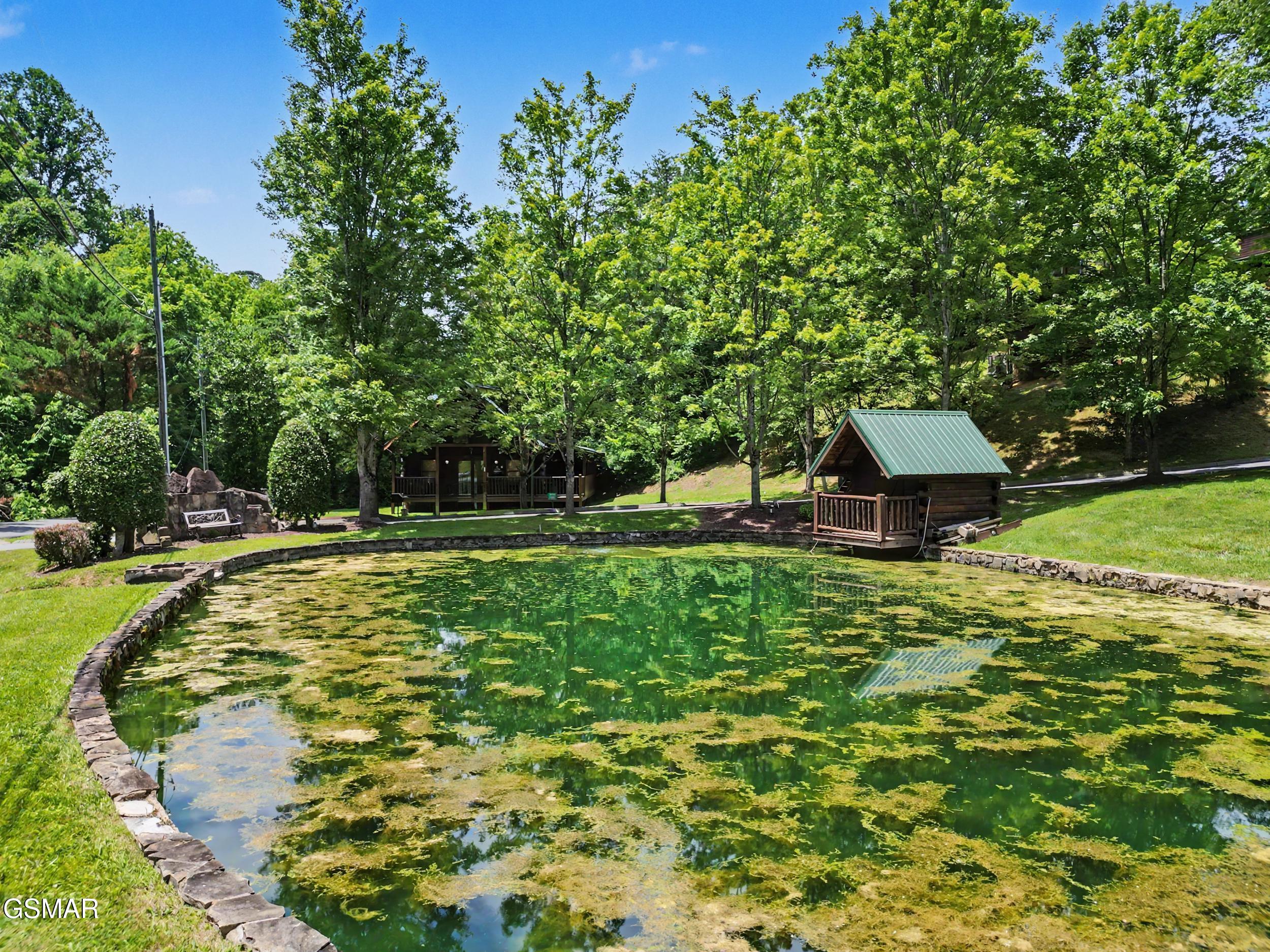 1629 Little Cabin Loop Sevierville TN 37862