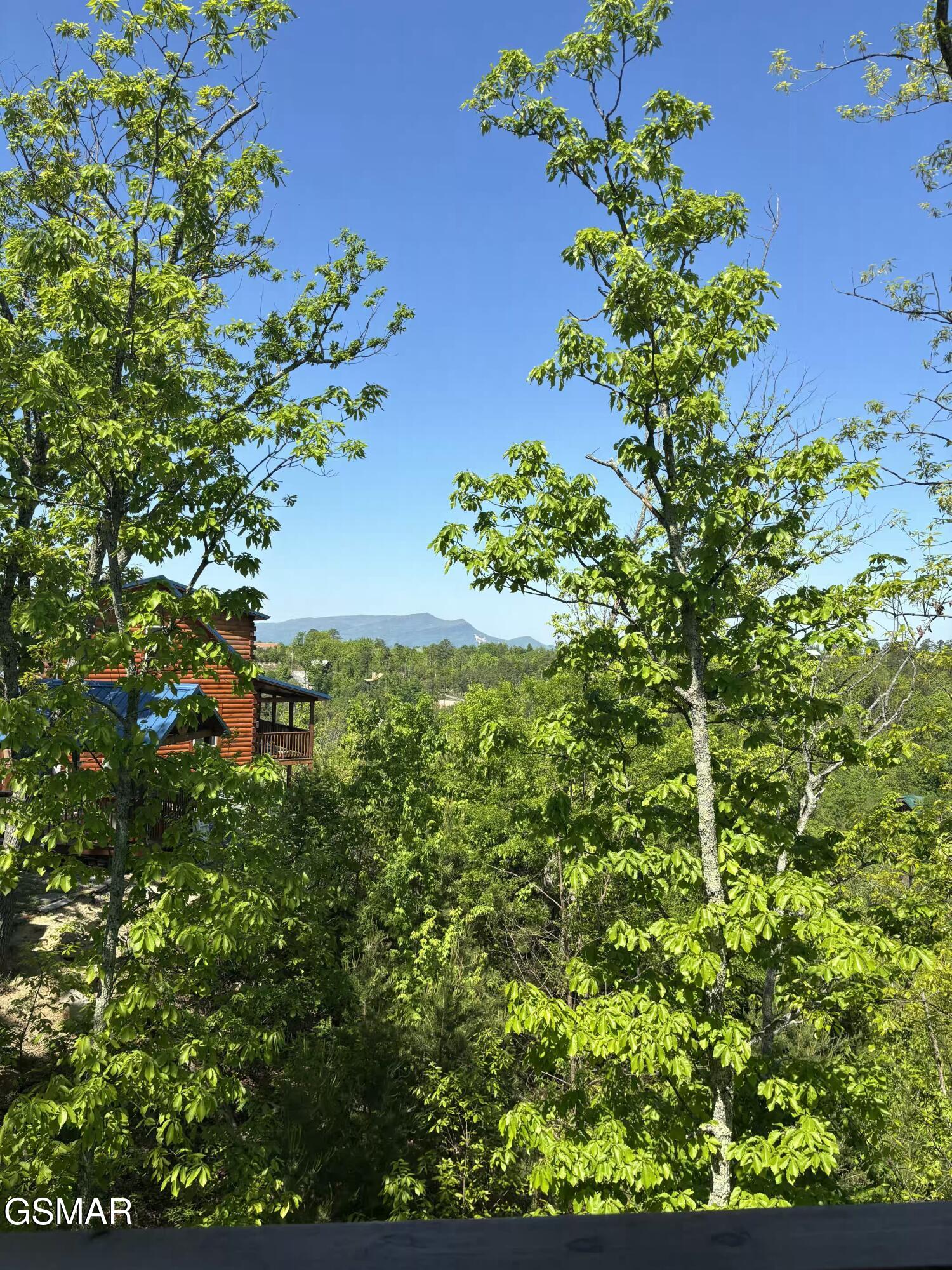 Sevierville TN