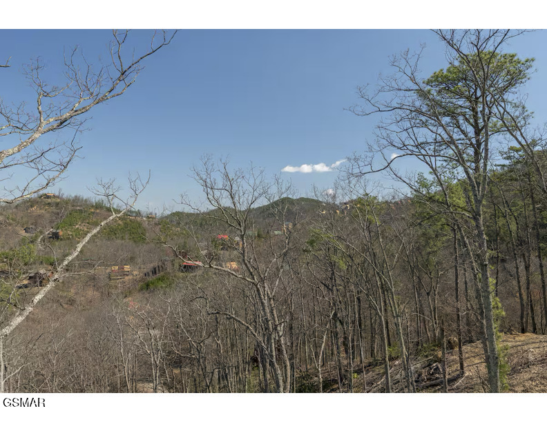 Sevierville TN
