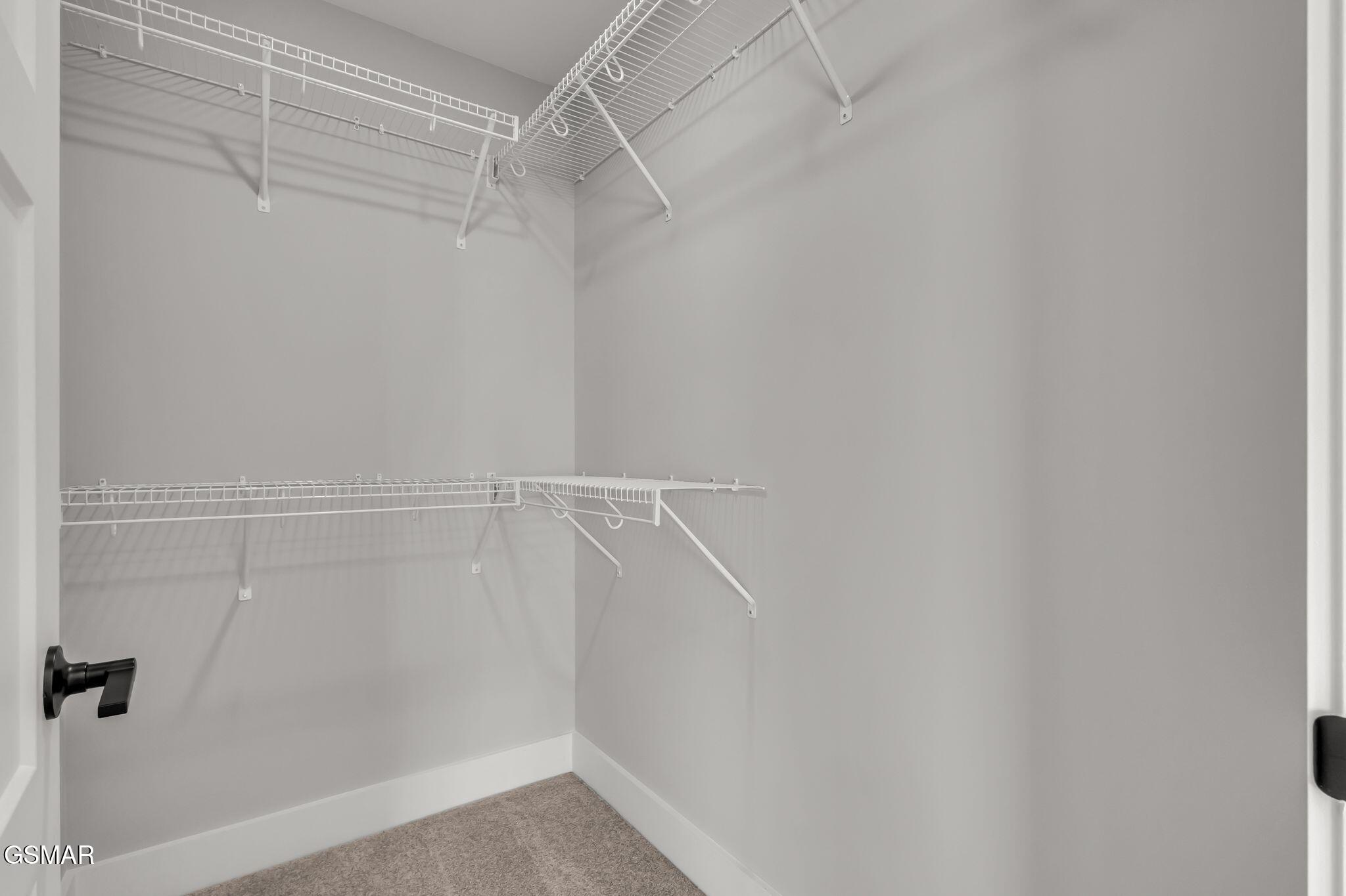 2516 Golden Trout Drive Knoxville TN 37920