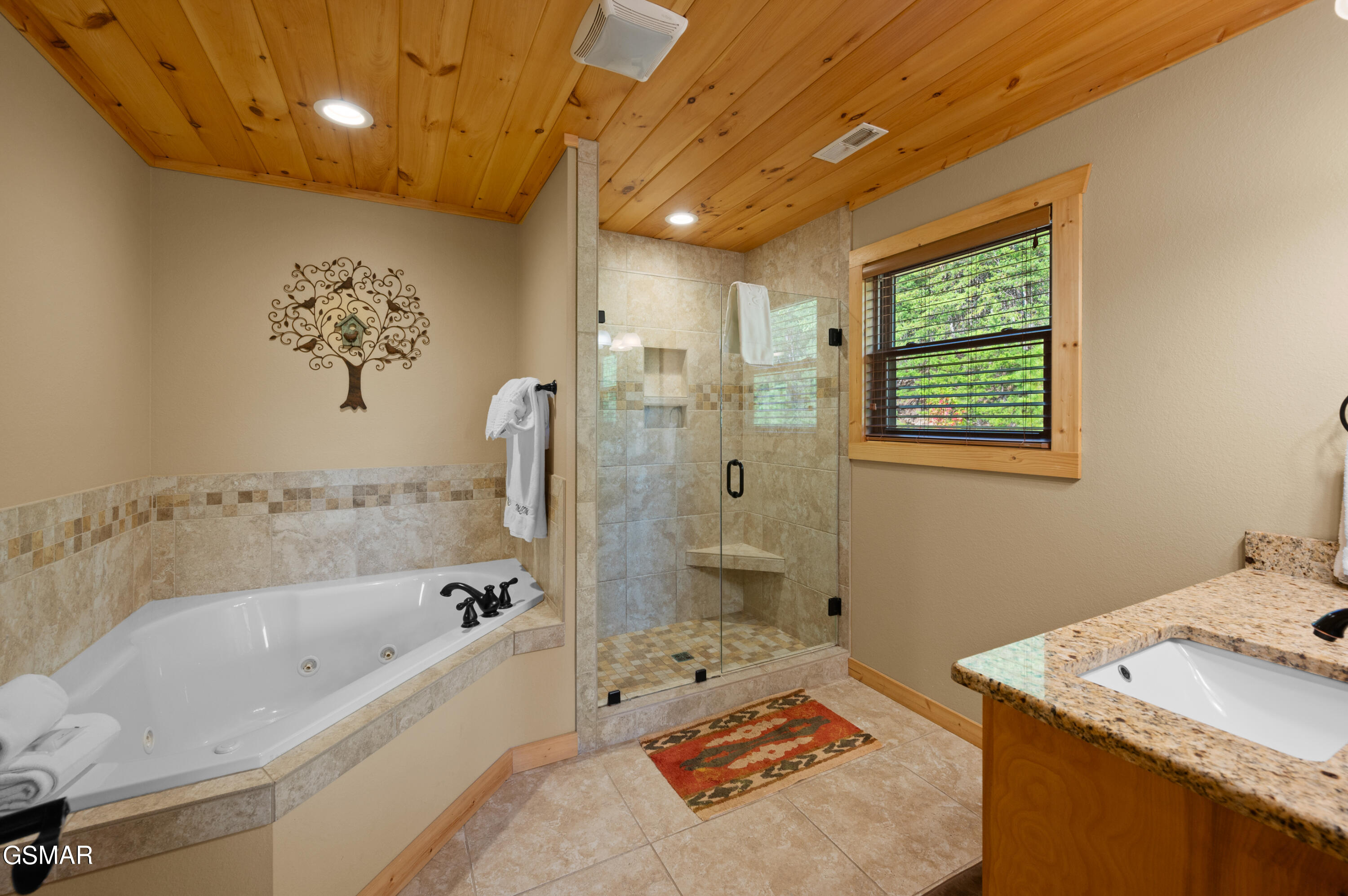 4249 Teaberry Vista Lane Sevierville TN 37862