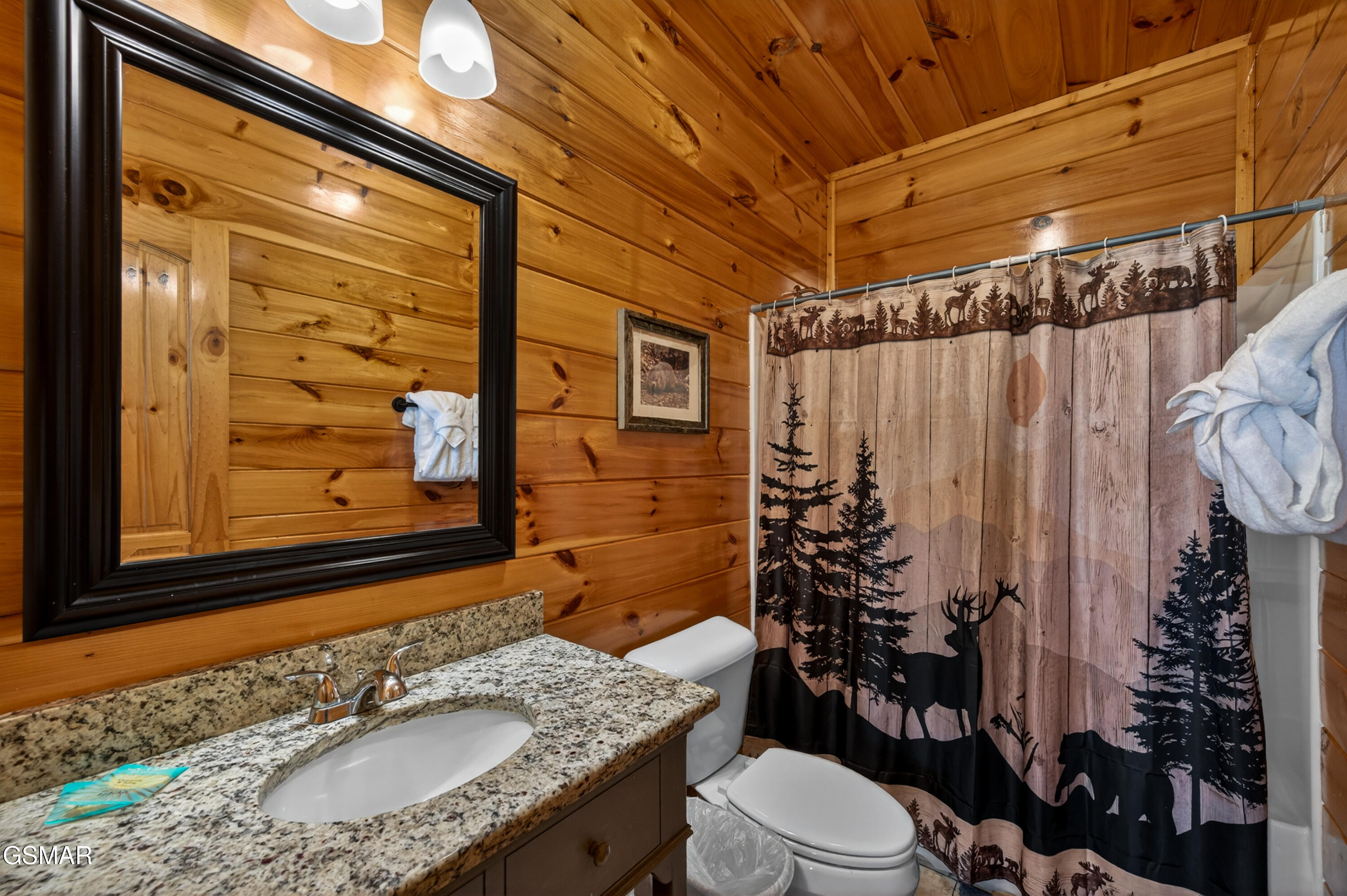 1932 Thistle Thorn Trail Sevierville TN 37876