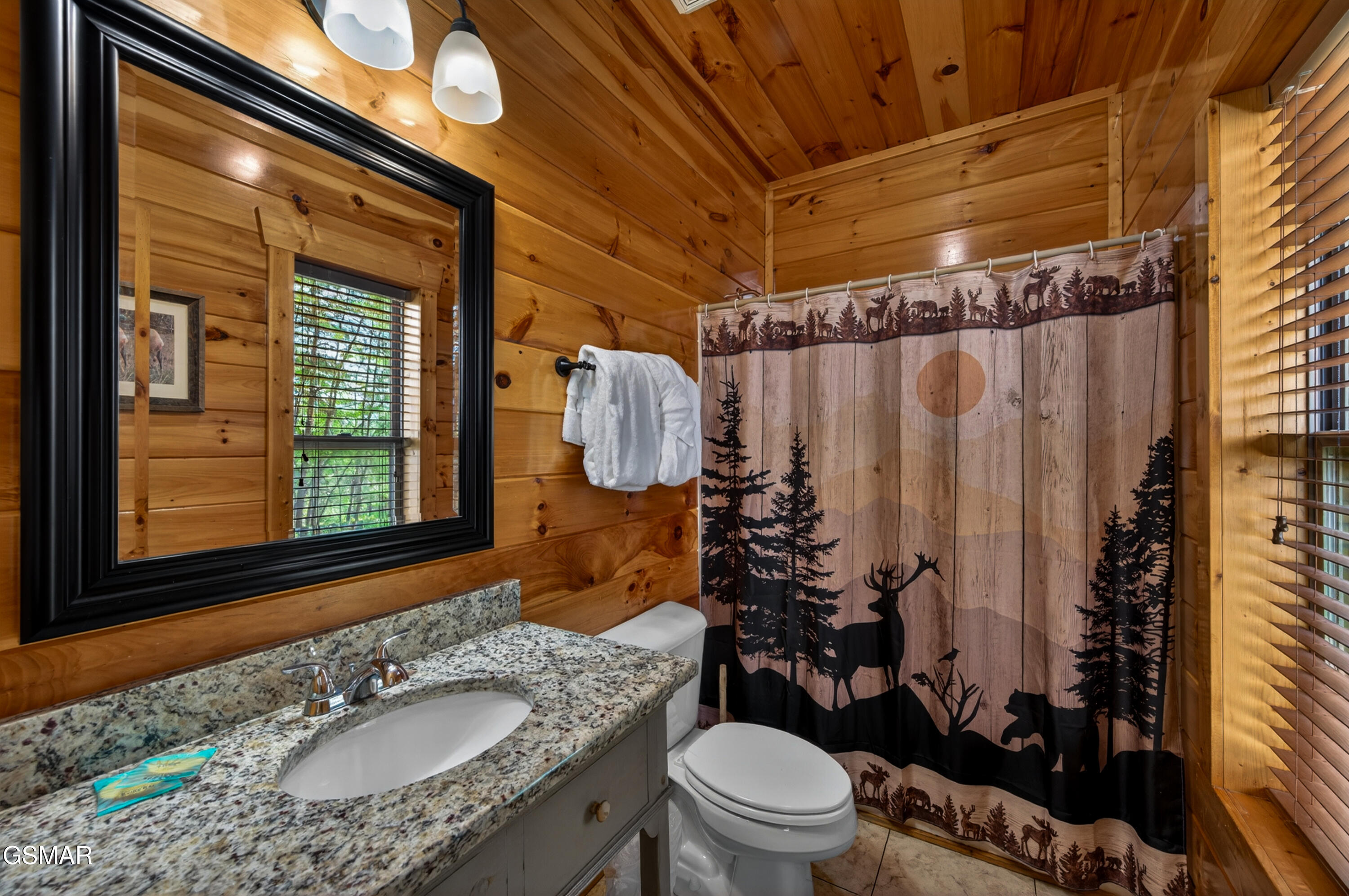 1932 Thistle Thorn Trail Sevierville TN 37876