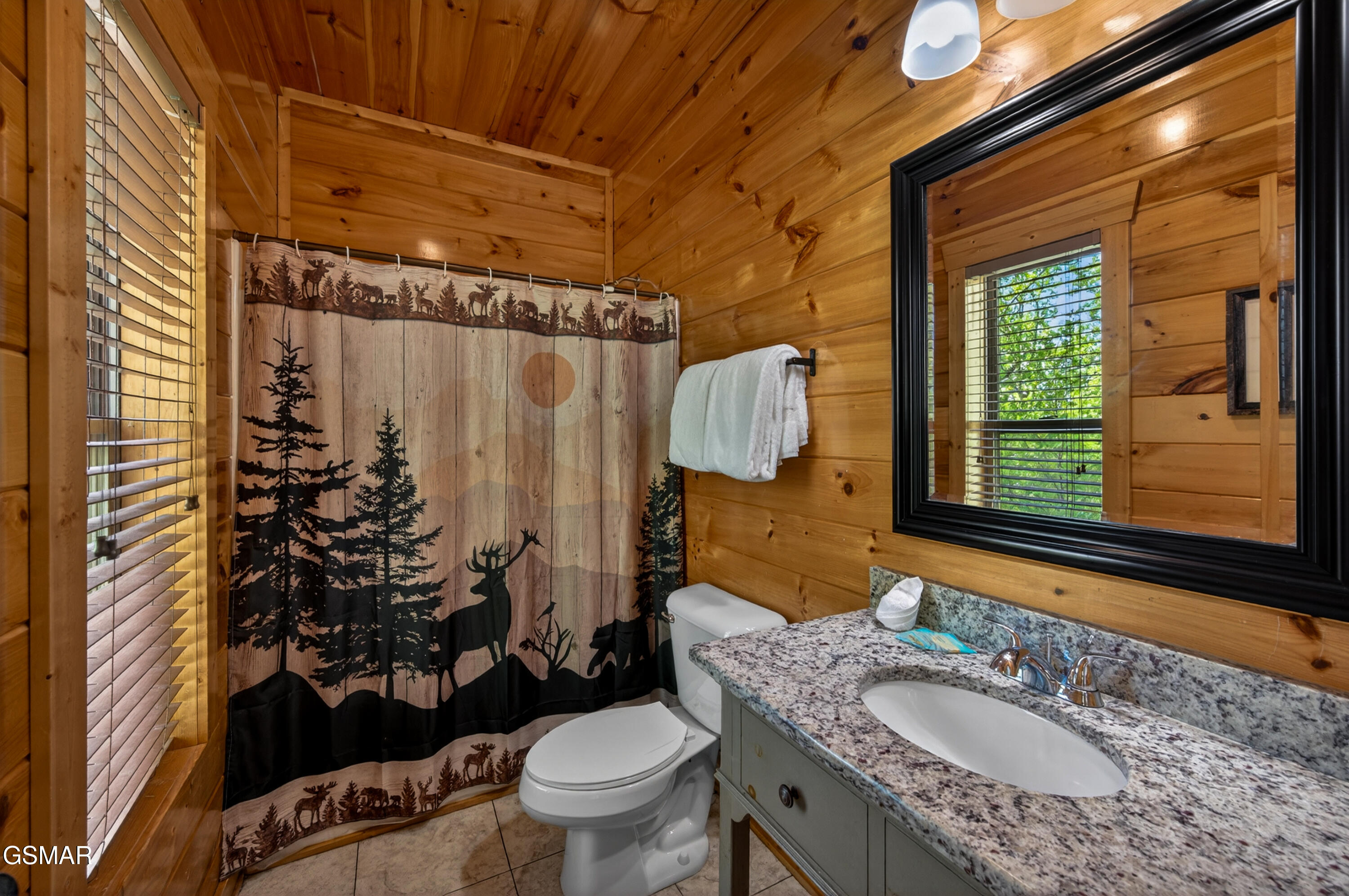 1932 Thistle Thorn Trail Sevierville TN 37876