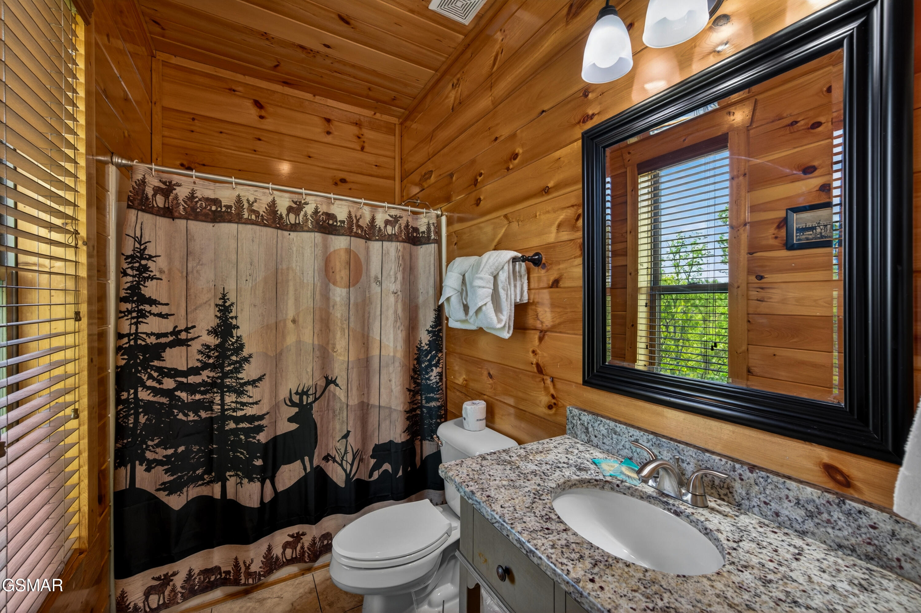 1932 Thistle Thorn Trail Sevierville TN 37876