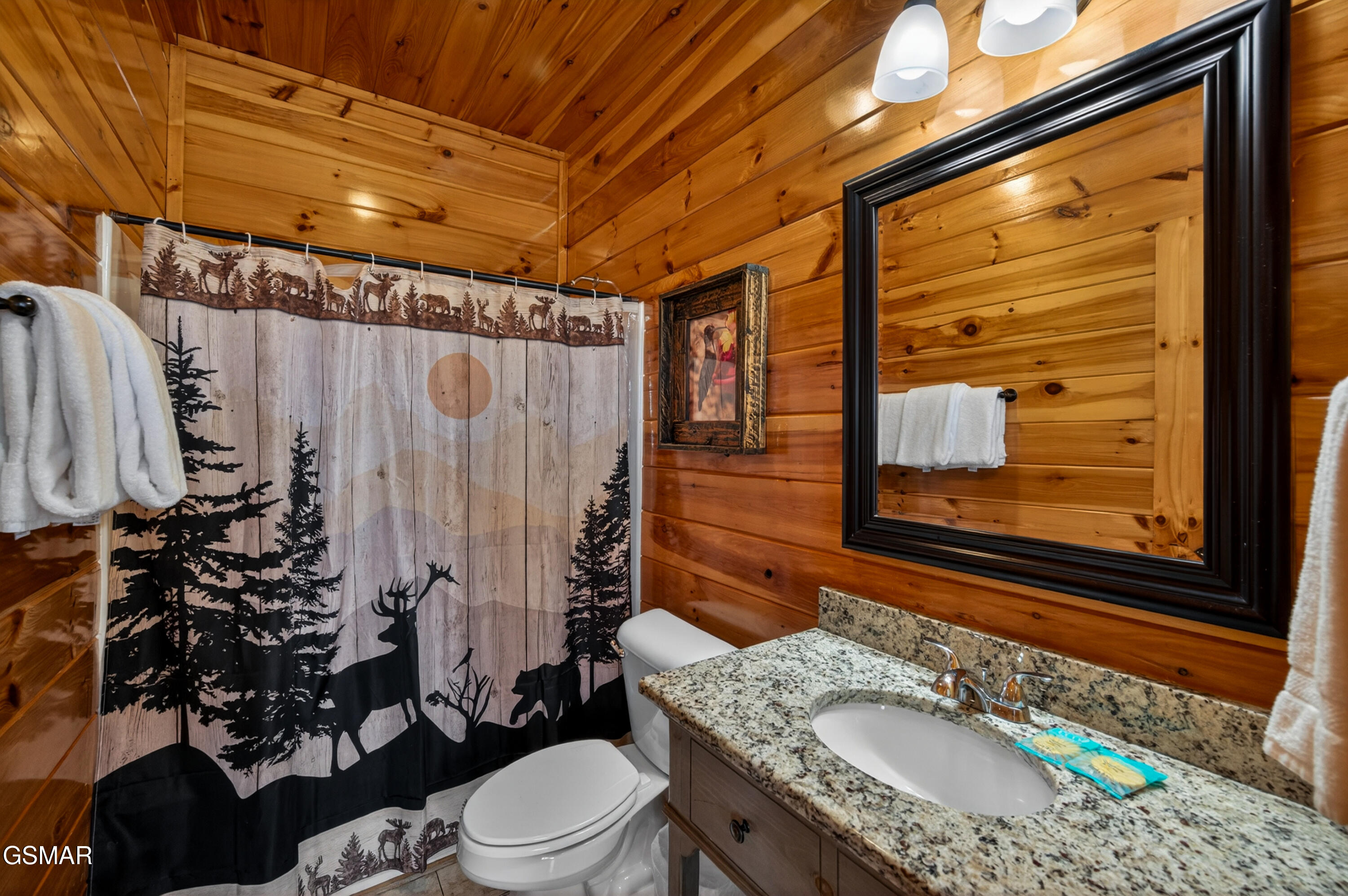 1932 Thistle Thorn Trail Sevierville TN 37876