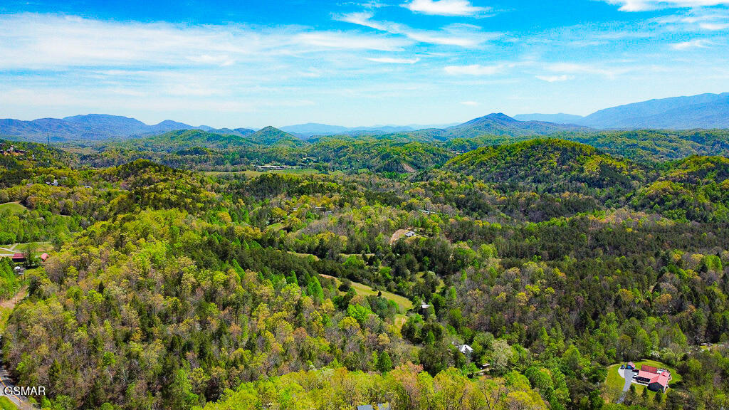 1932 Thistle Thorn Trail Sevierville TN 37876