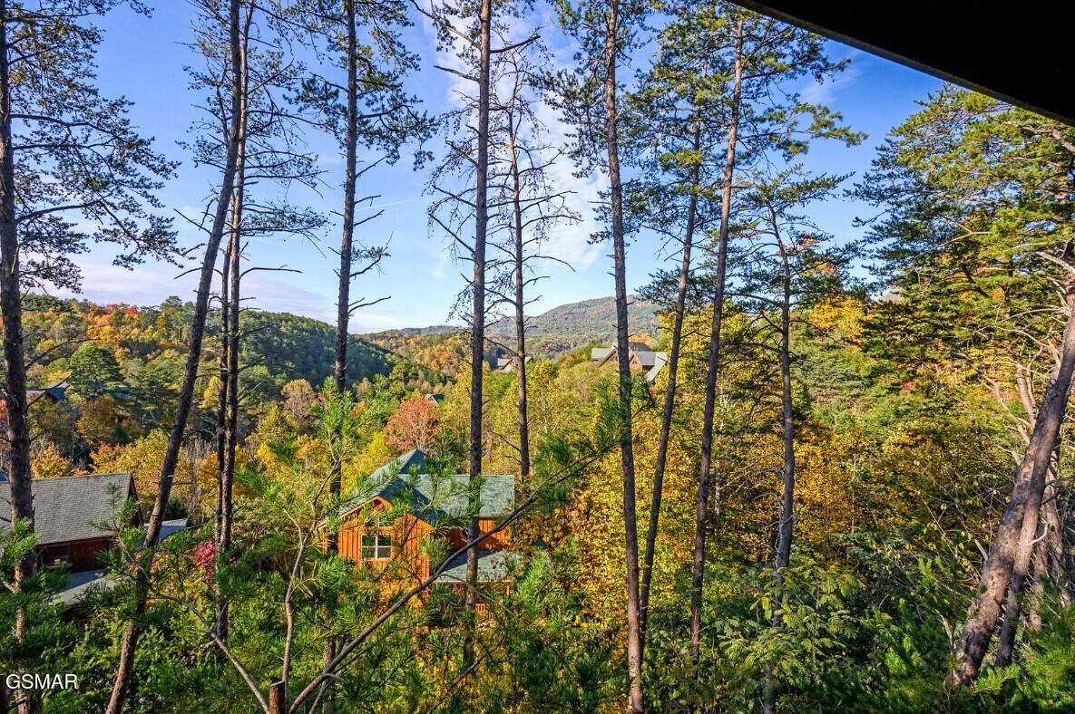 1828 Panther Path Way Sevierville TN 37876