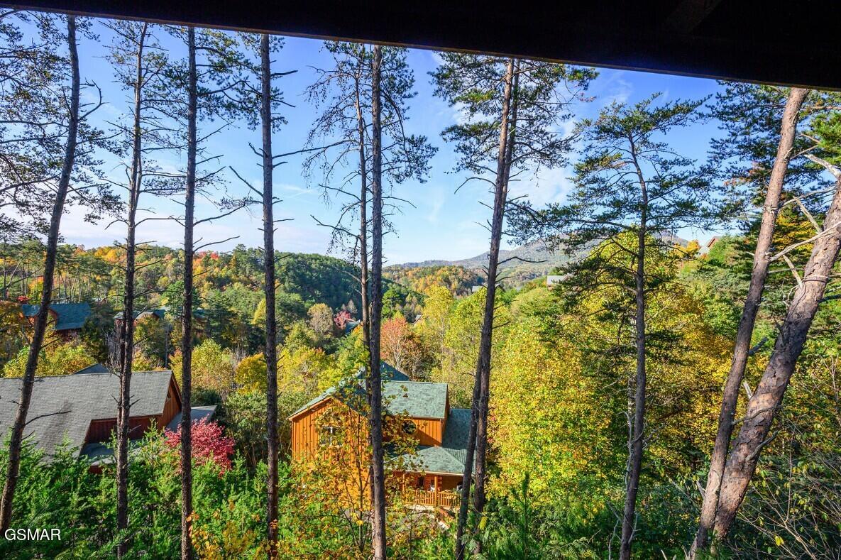 1828 Panther Path Way Sevierville TN 37876