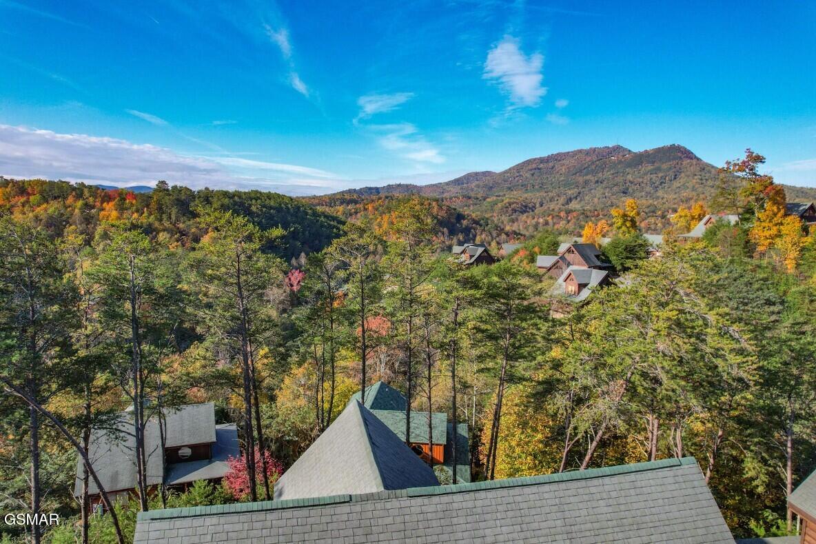 1828 Panther Path Way Sevierville TN 37876