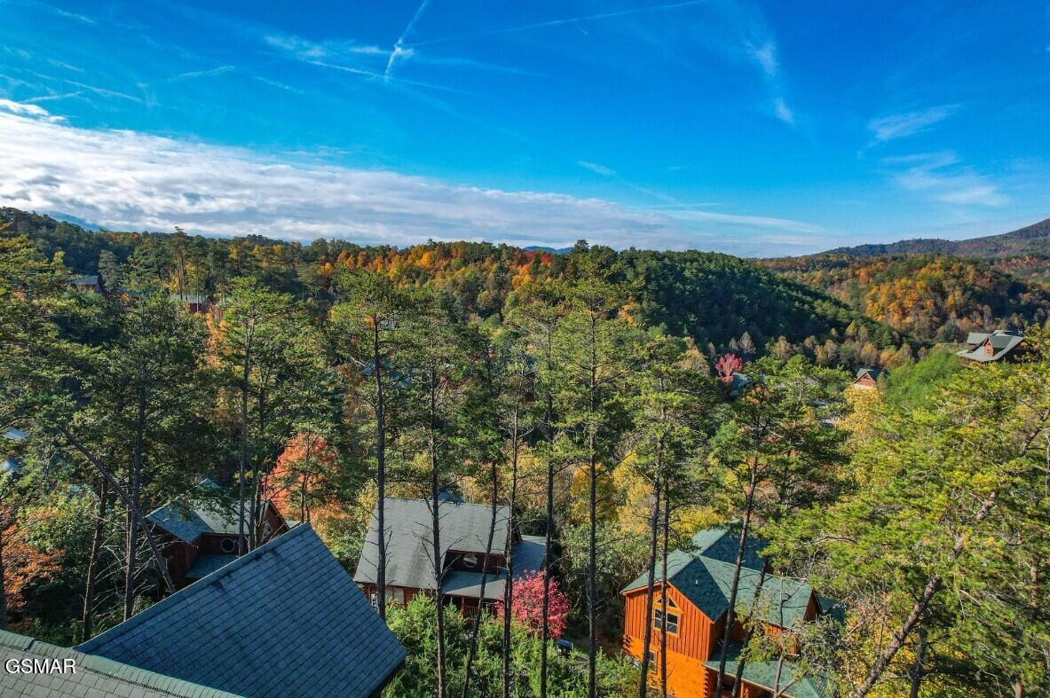 1828 Panther Path Way Sevierville TN 37876