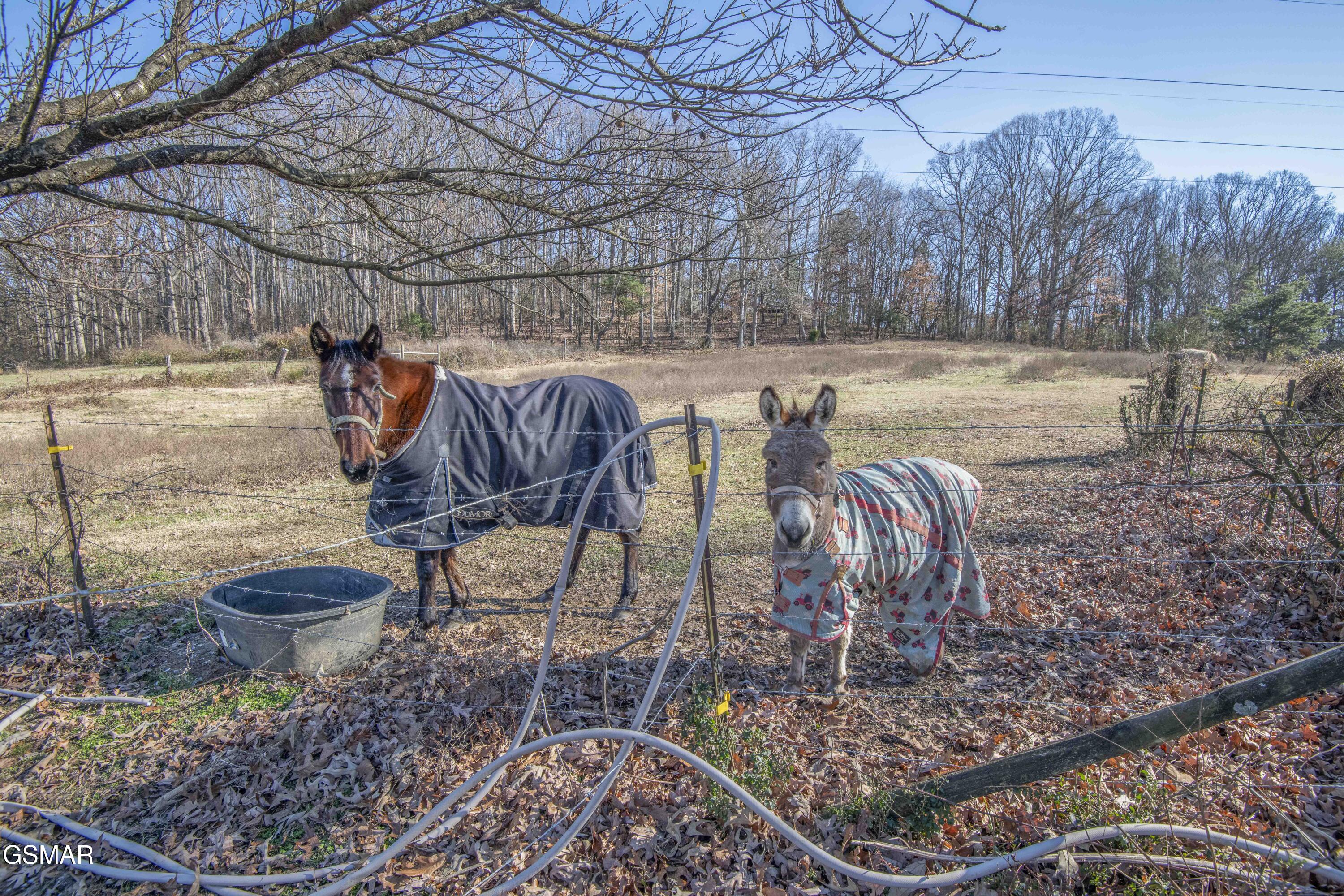 526 Bullen Emert Lane Rockford TN 37853