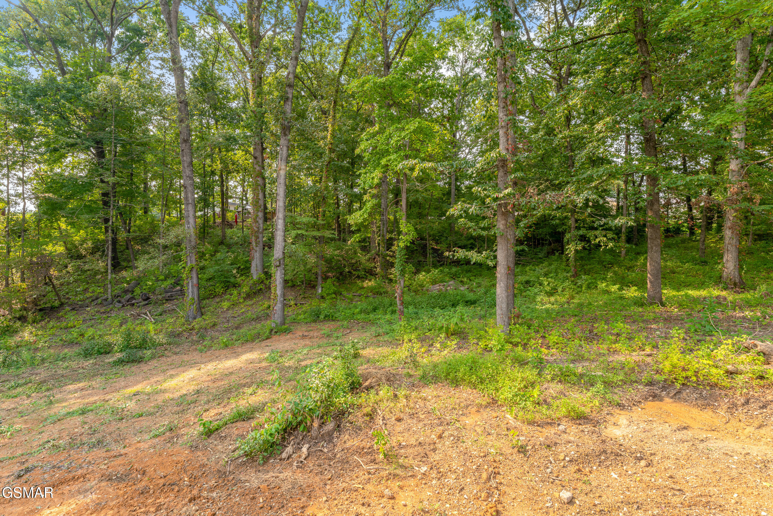 2326 Geraldine Way Sevierville TN 37876