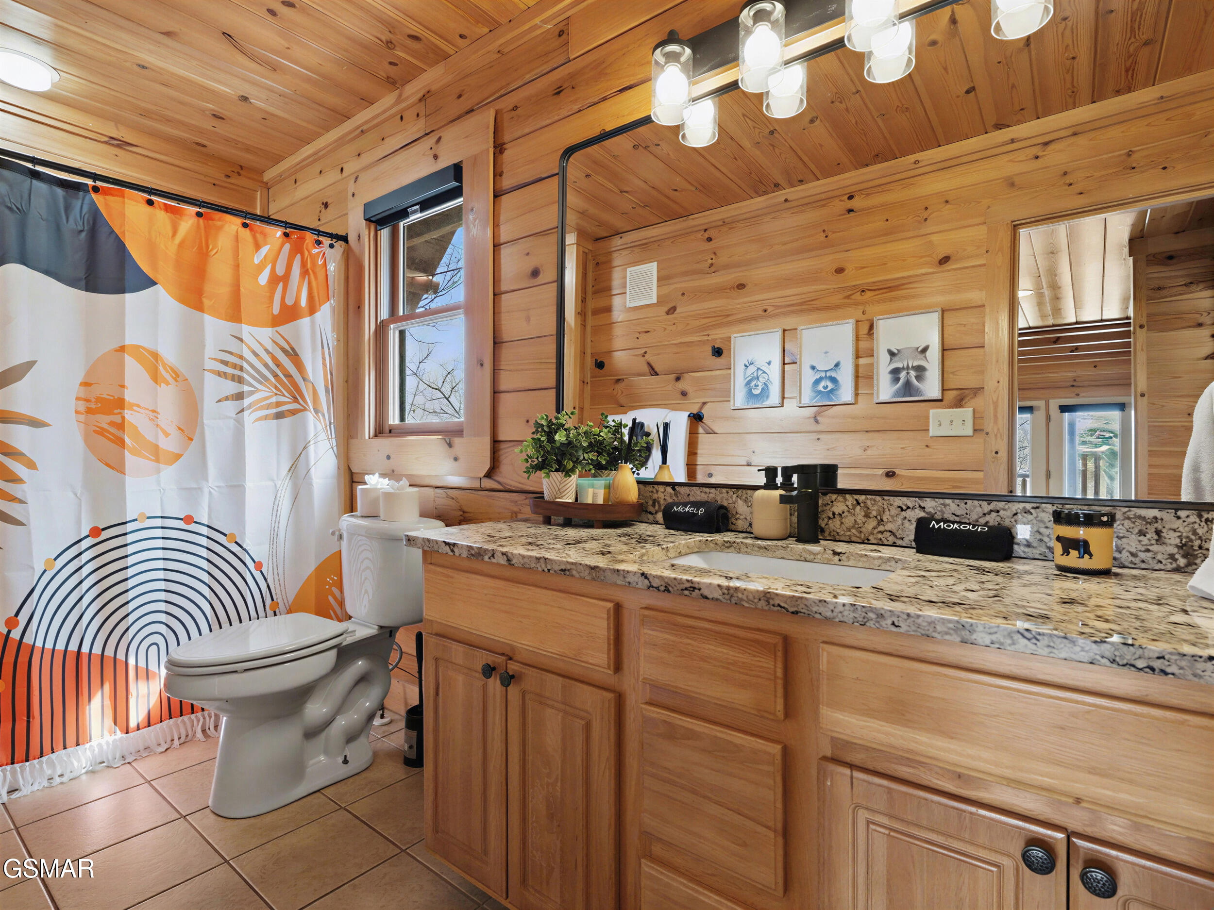 1723 Summit View Way Sevierville TN 37862
