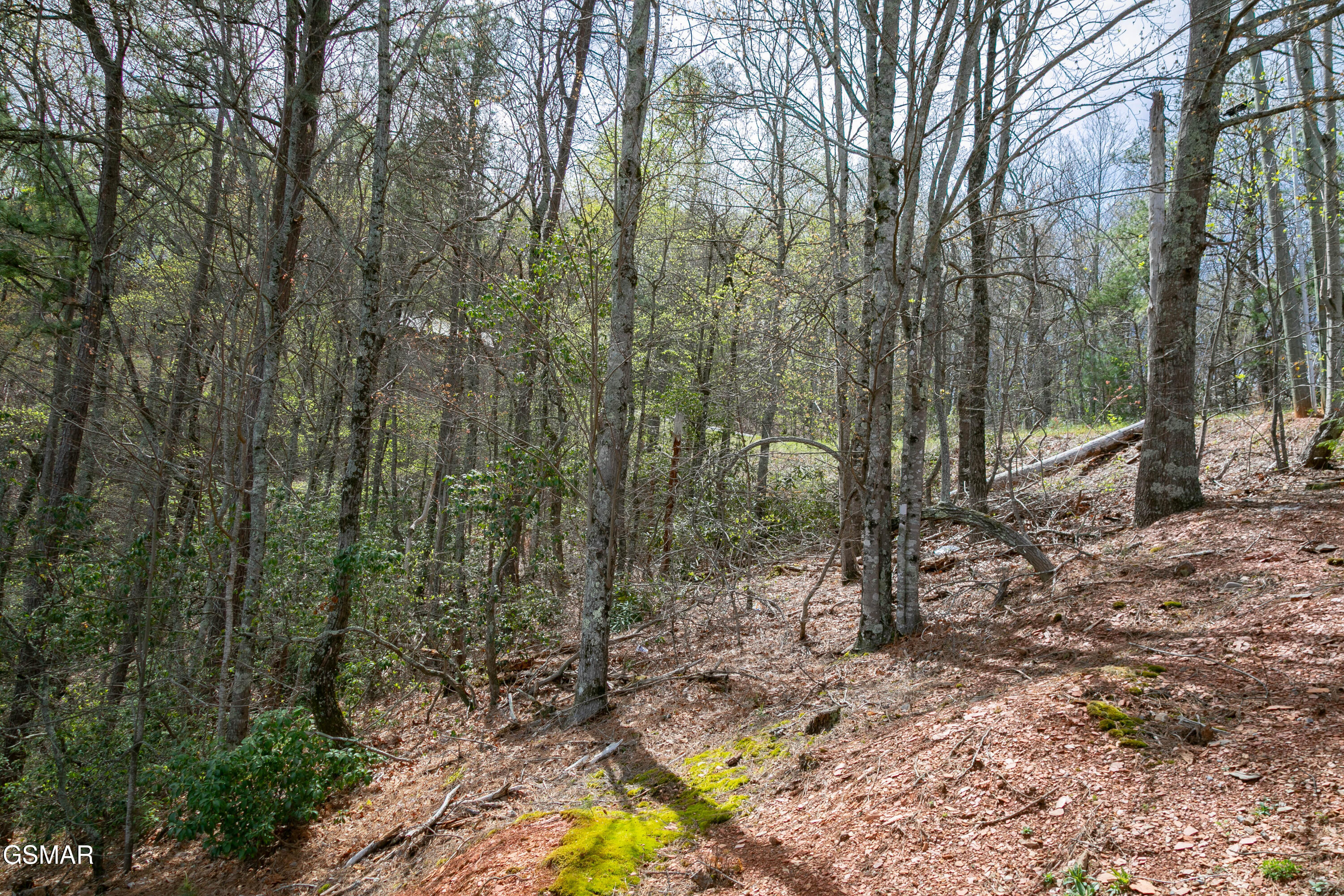 3059 Perry Circle Lane Sevierville TN 37862
