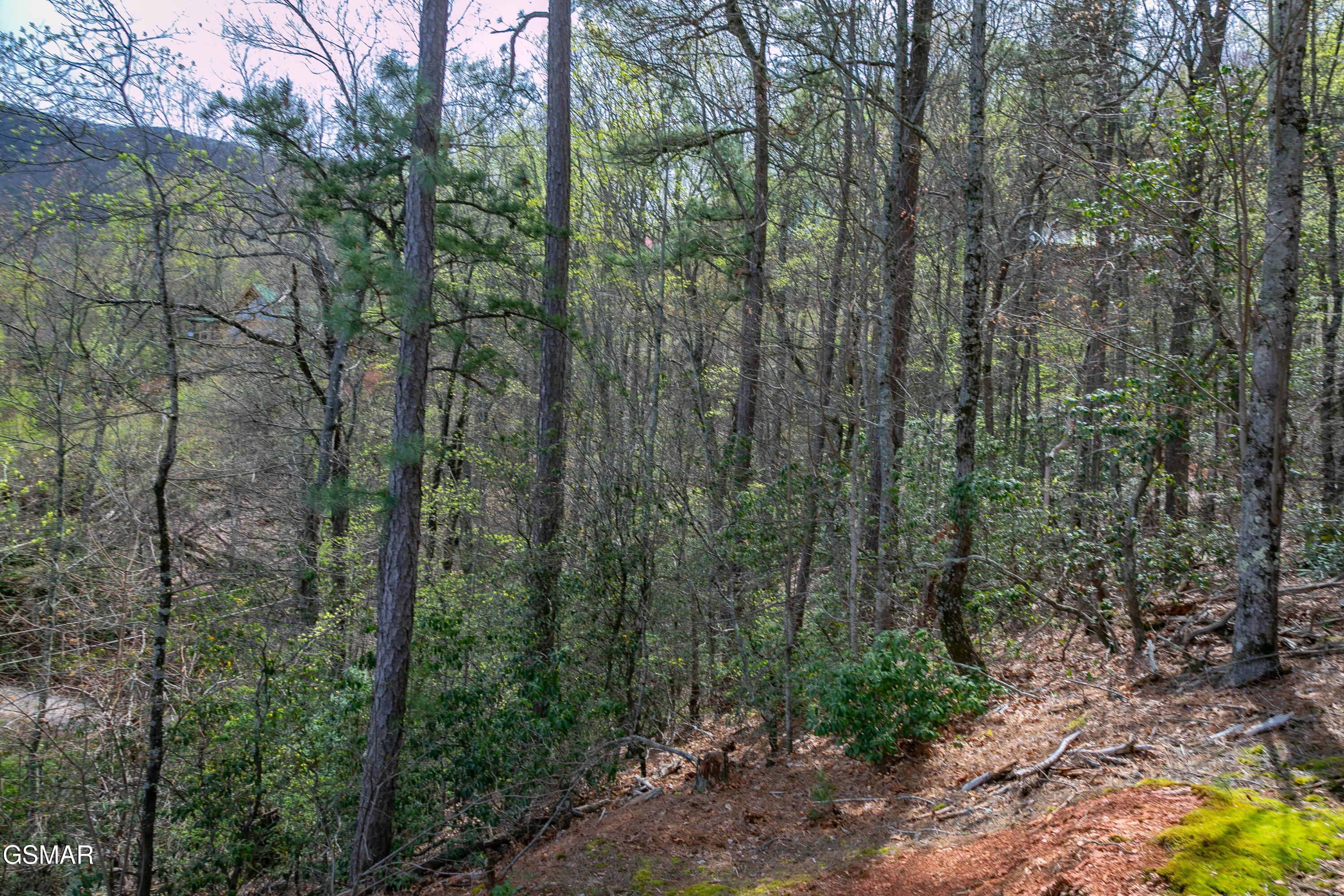 3059 Perry Circle Lane Sevierville TN 37862