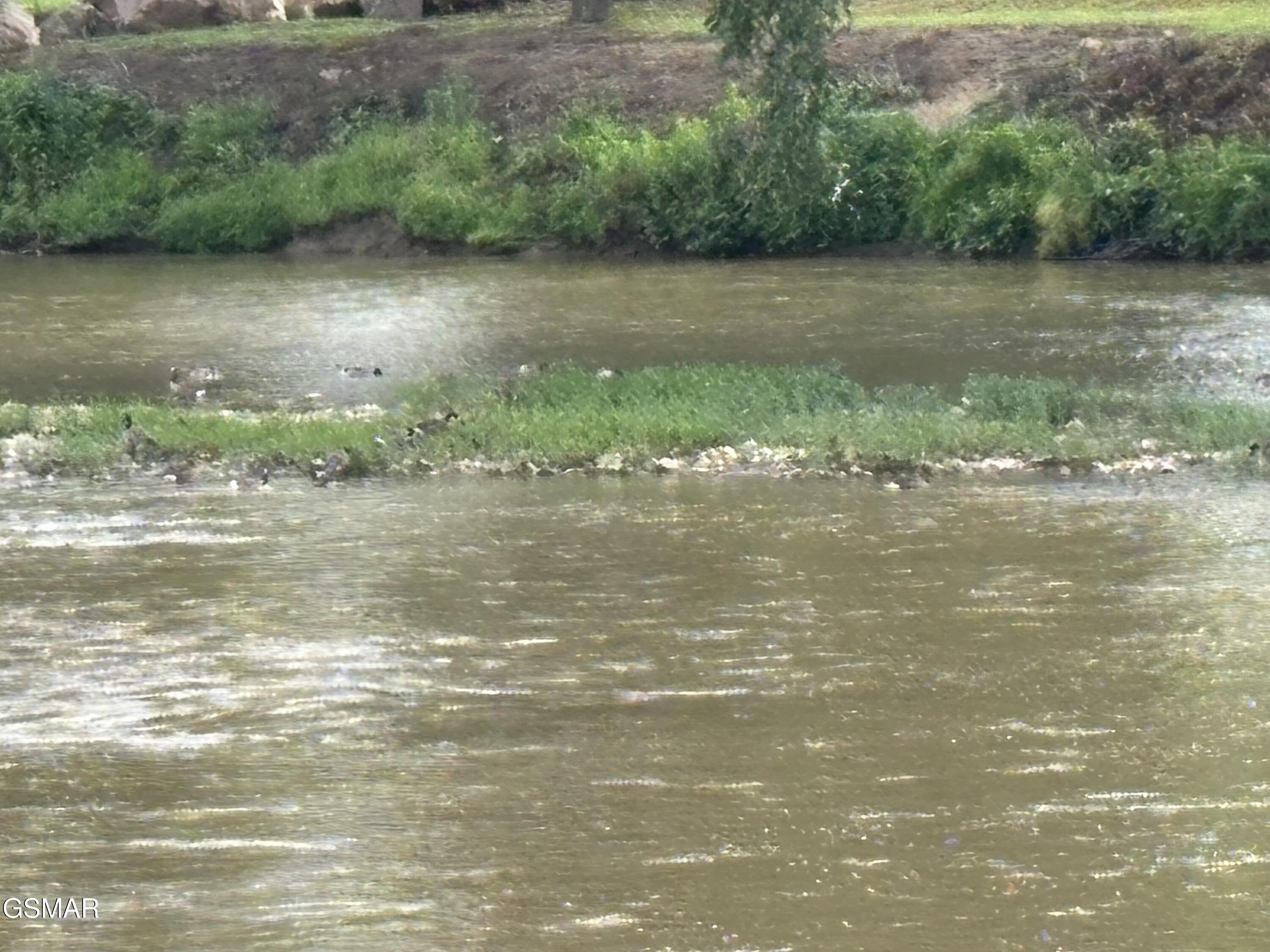 864 Fugate Road Del Rio TN 37727