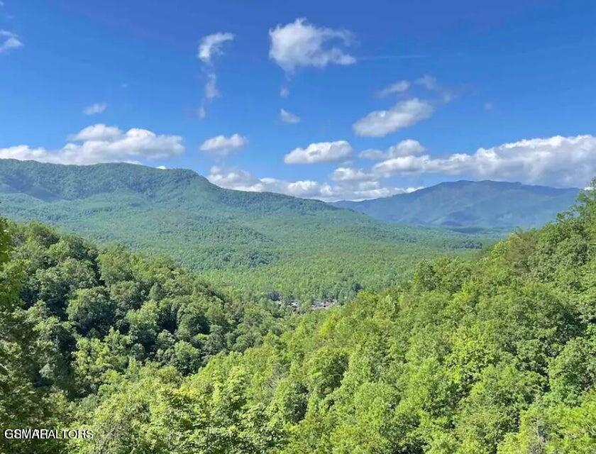 842 Vixen Run Gatlinburg TN 37738