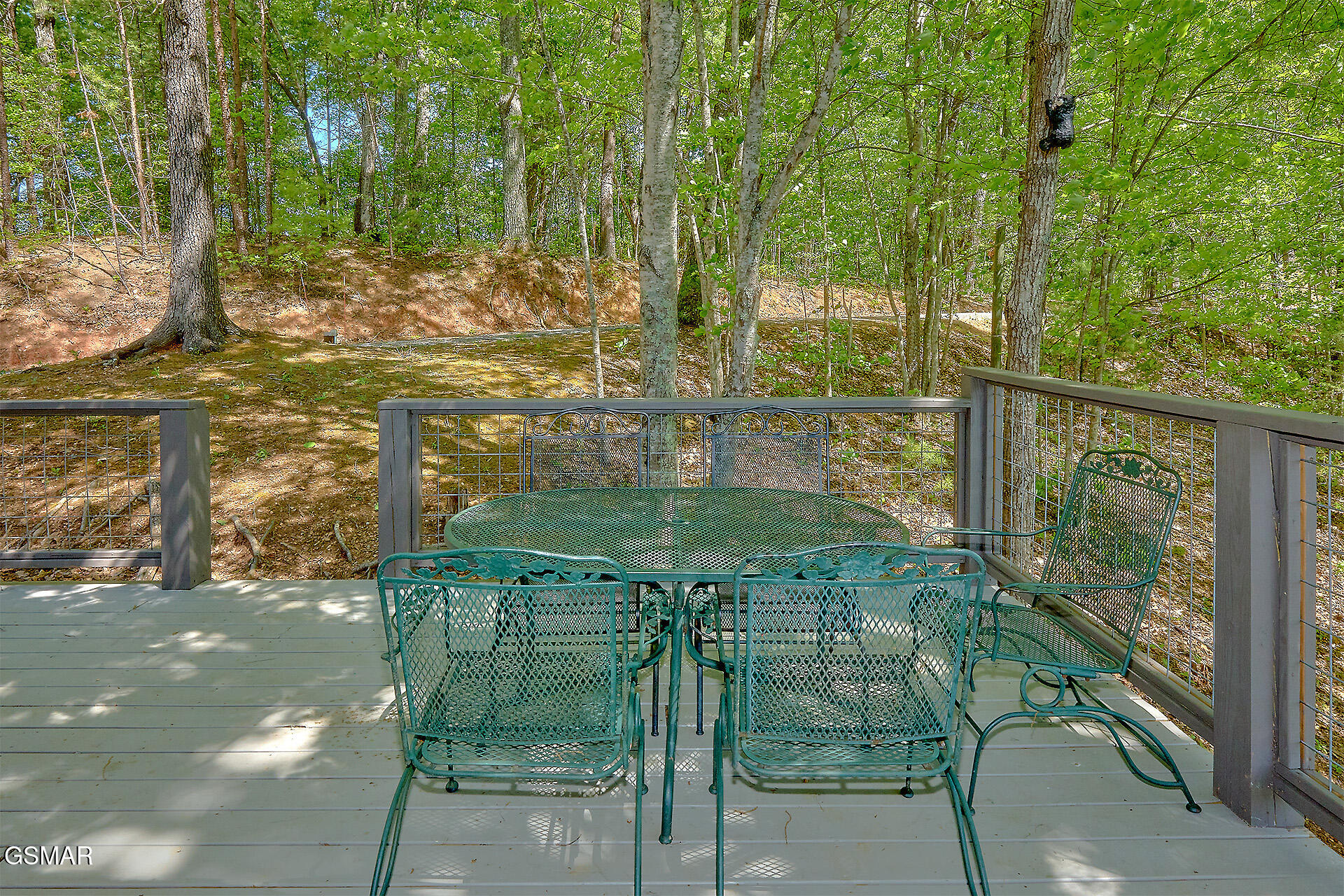 461 Sassafras Trail Sevierville TN 37876