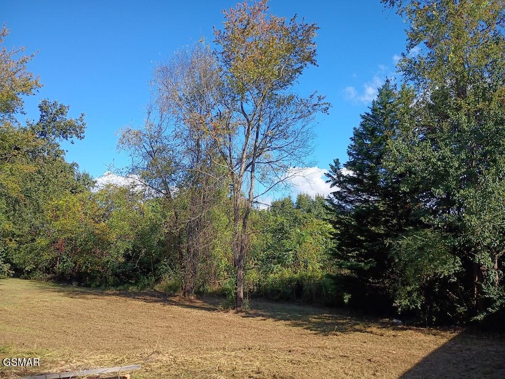 626 Briarwood Drive Dandridge TN 37725