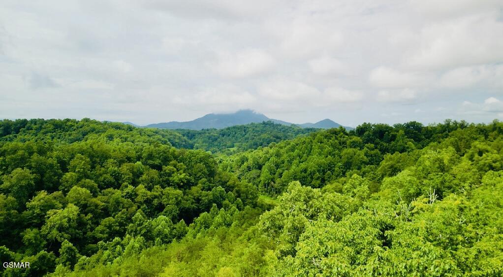 742 Hardin Lane Sevierville TN 37862