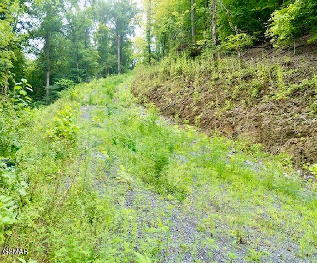 742 Hardin Lane Sevierville TN 37862