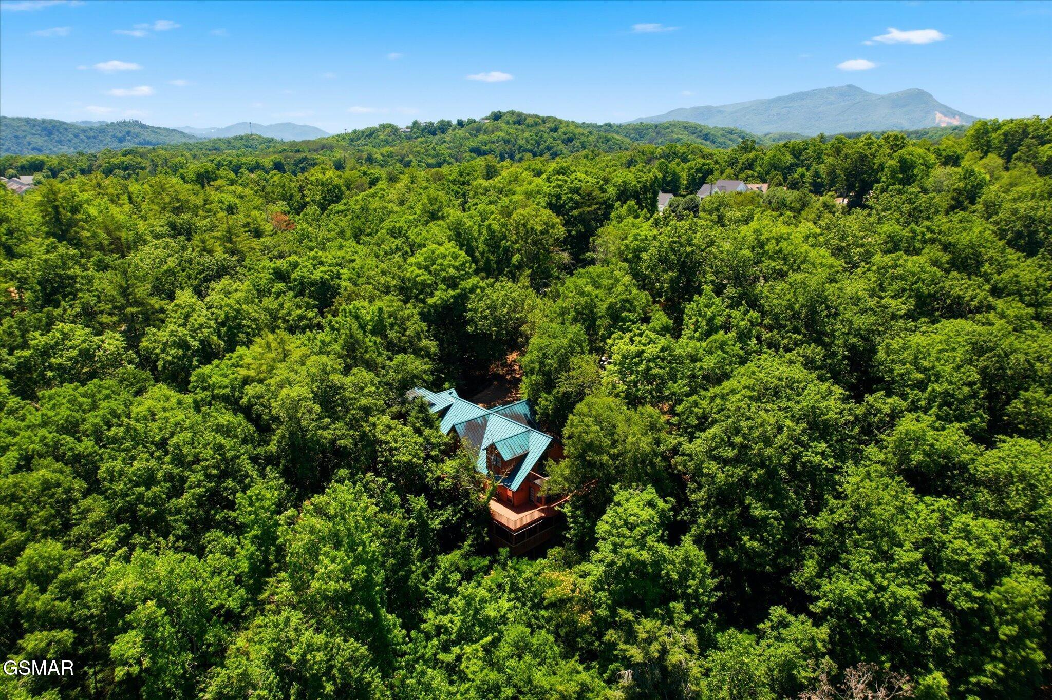 201 Clear Point Lane Pigeon Forge TN 37863