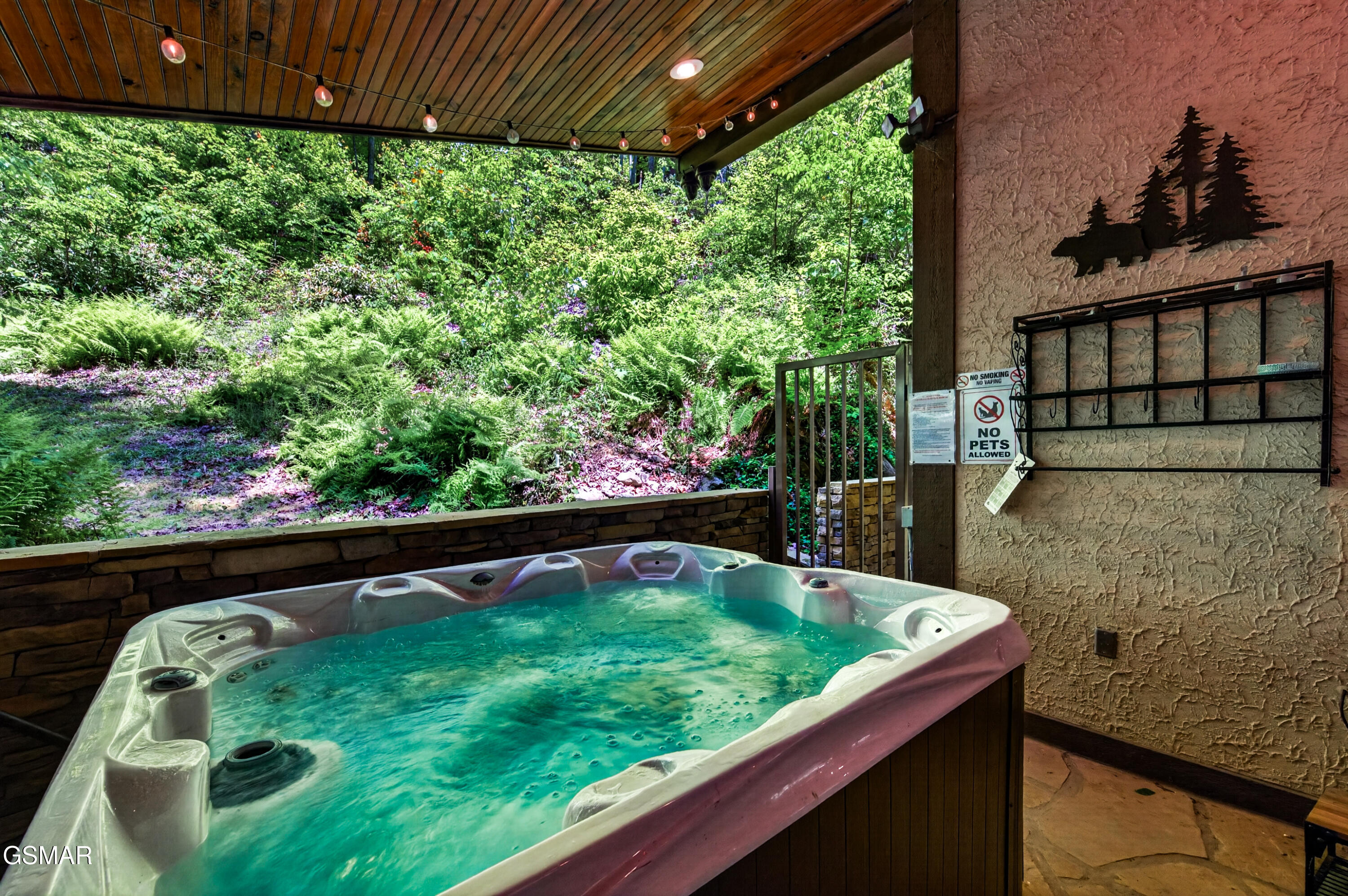1116 Ski Mountain Road Gatlinburg TN 37738