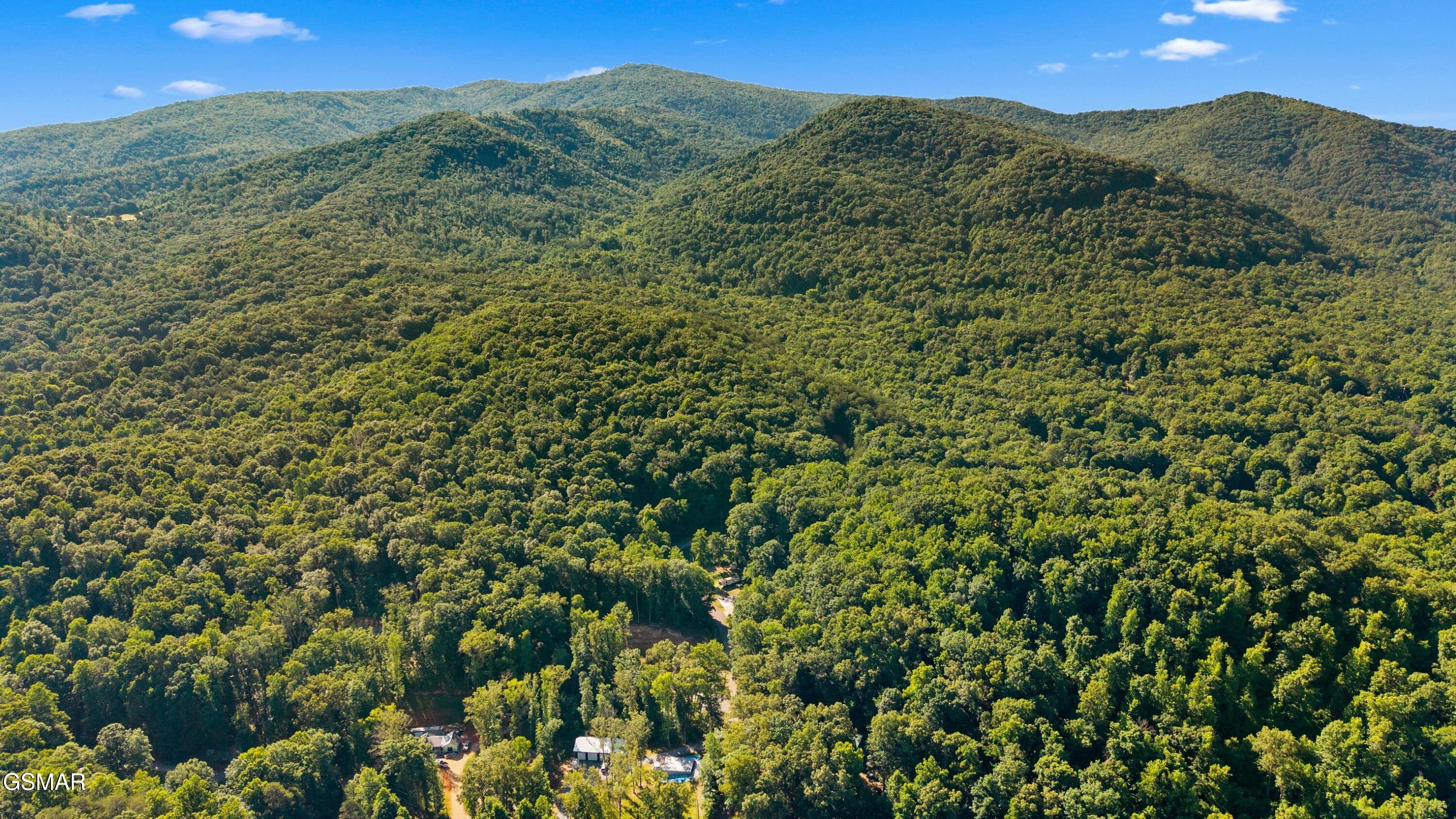 858 Sleepy Hollow Road Newport TN 37821