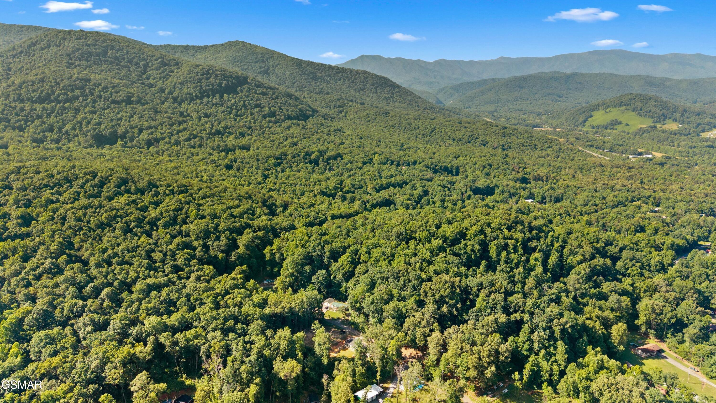 858 Sleepy Hollow Road Newport TN 37821