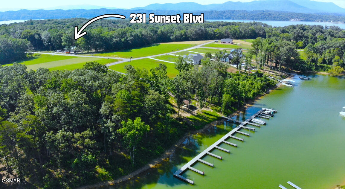 231 Sunset Boulevard White Pine TN 37890