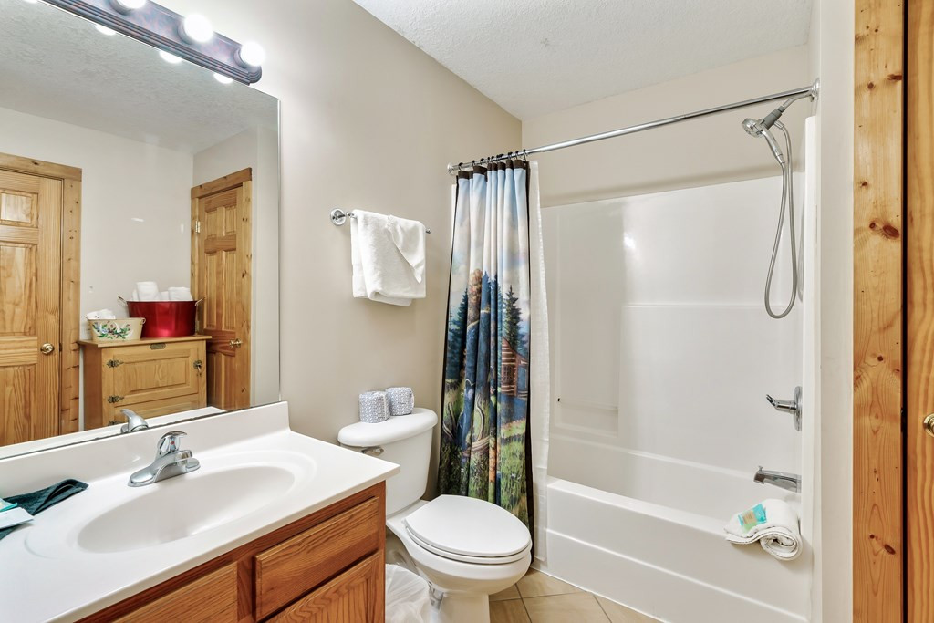 427 Big Bear Pigeon Forge TN 38763