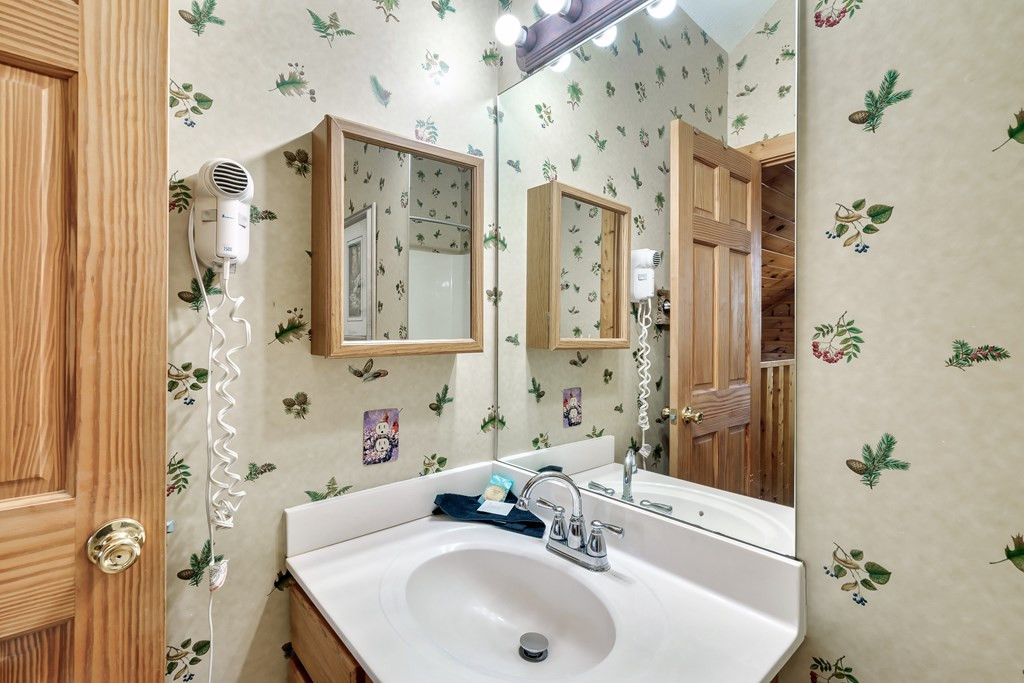 427 Big Bear Pigeon Forge TN 38763