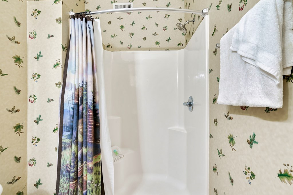 427 Big Bear Pigeon Forge TN 38763