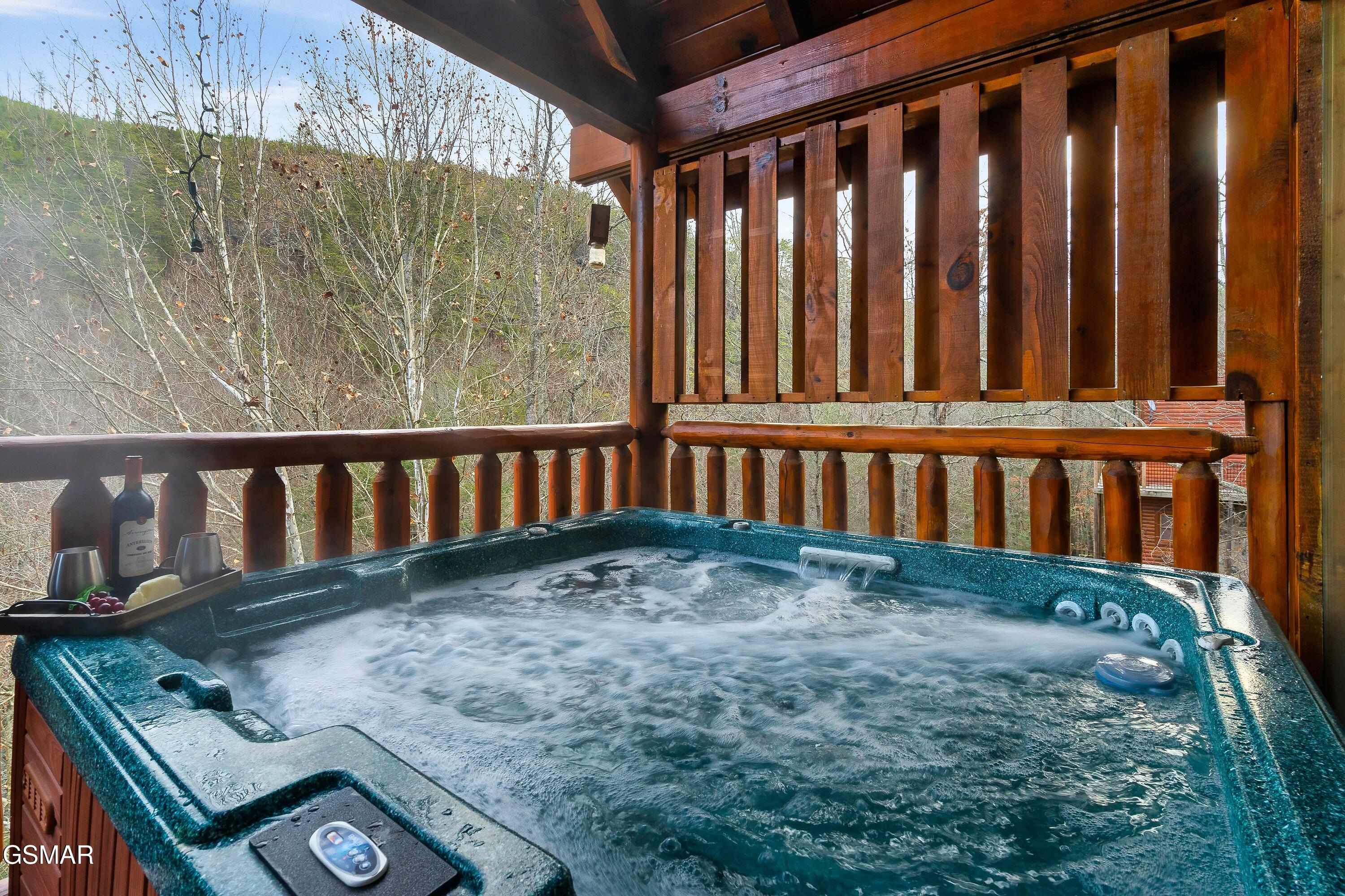 830 Black Bear Cub Way Sevierville TN 37862