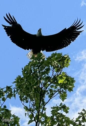 2005 River Mist Circle New Market TN 37820