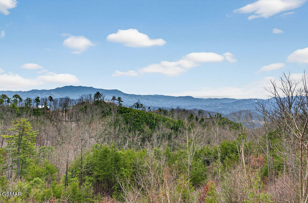 1553 Majestic Mountain Drive Sevierville TN 37876