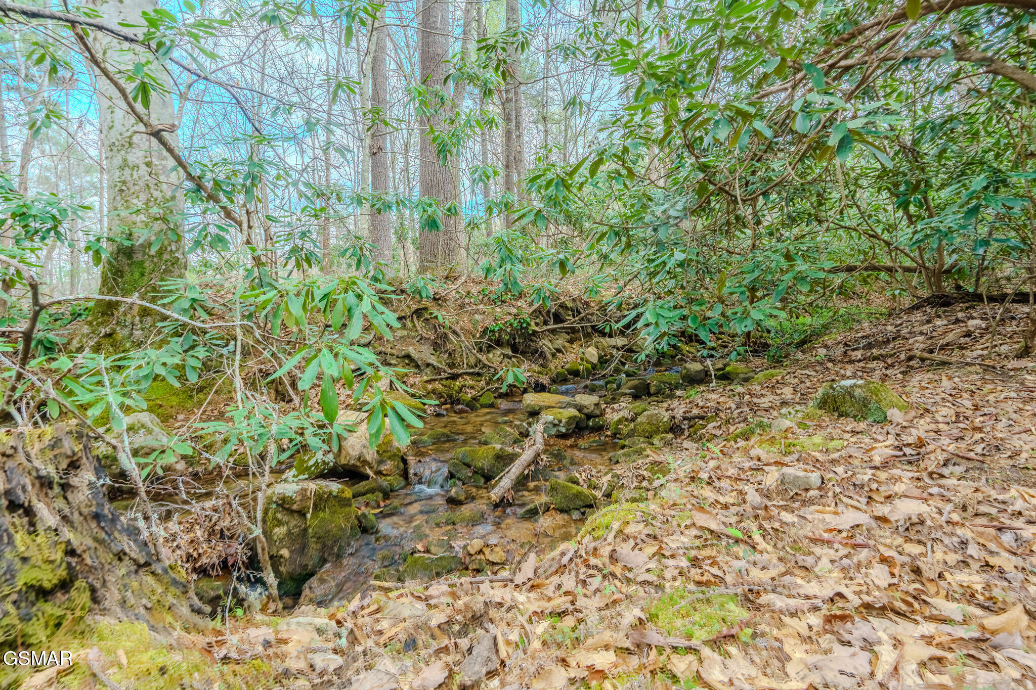3386 Rocky Ridge Road Cosby TN 37722
