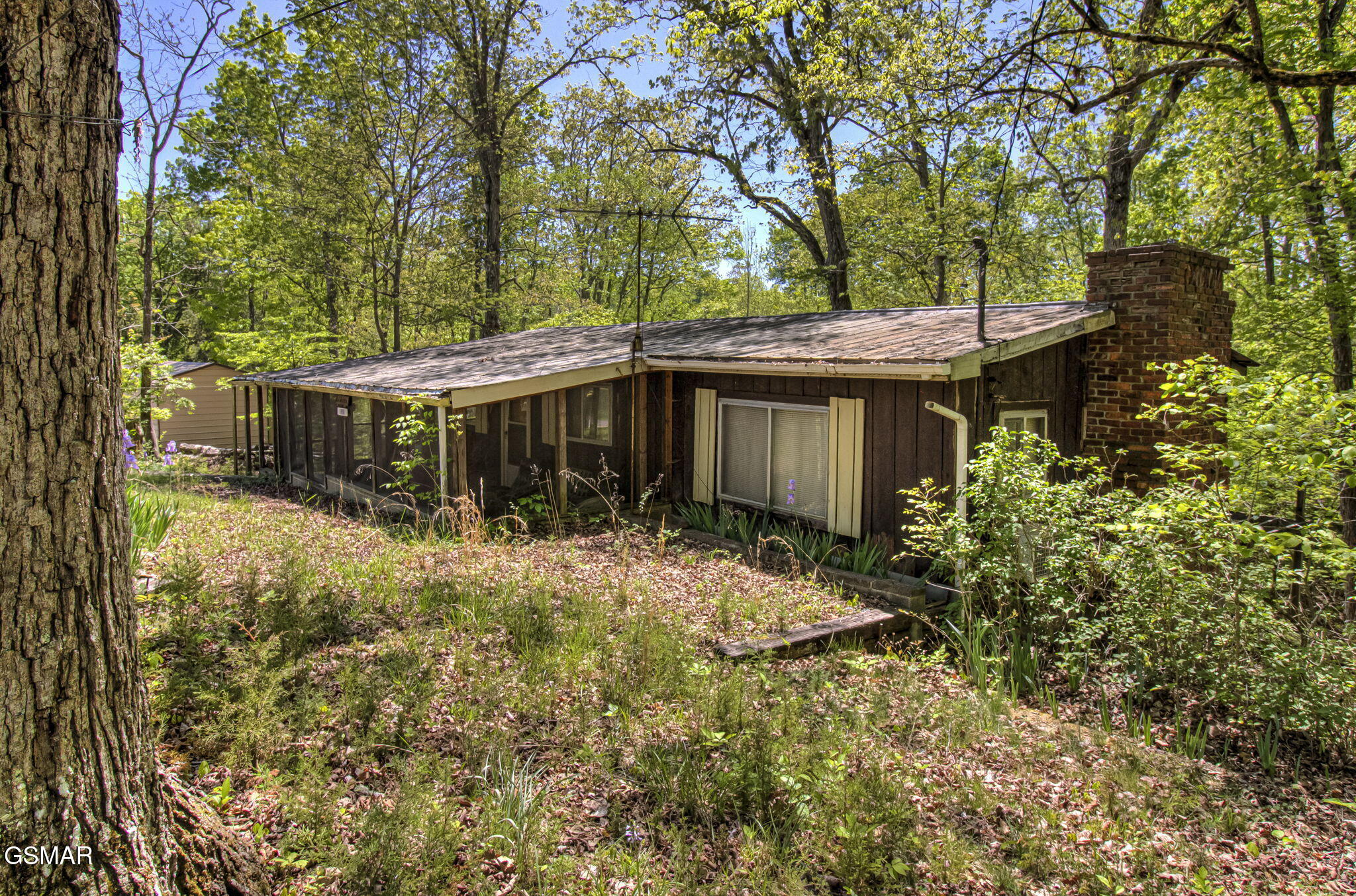 1909 Cheyene Trail Dandridge TN 37725